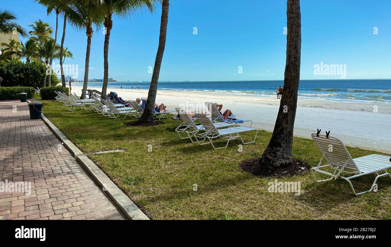 Liegen mit Menschen unter Palmen, die an einem sonnigen Tag im Winter auf den Golf von Mexiko blicken Stockfoto