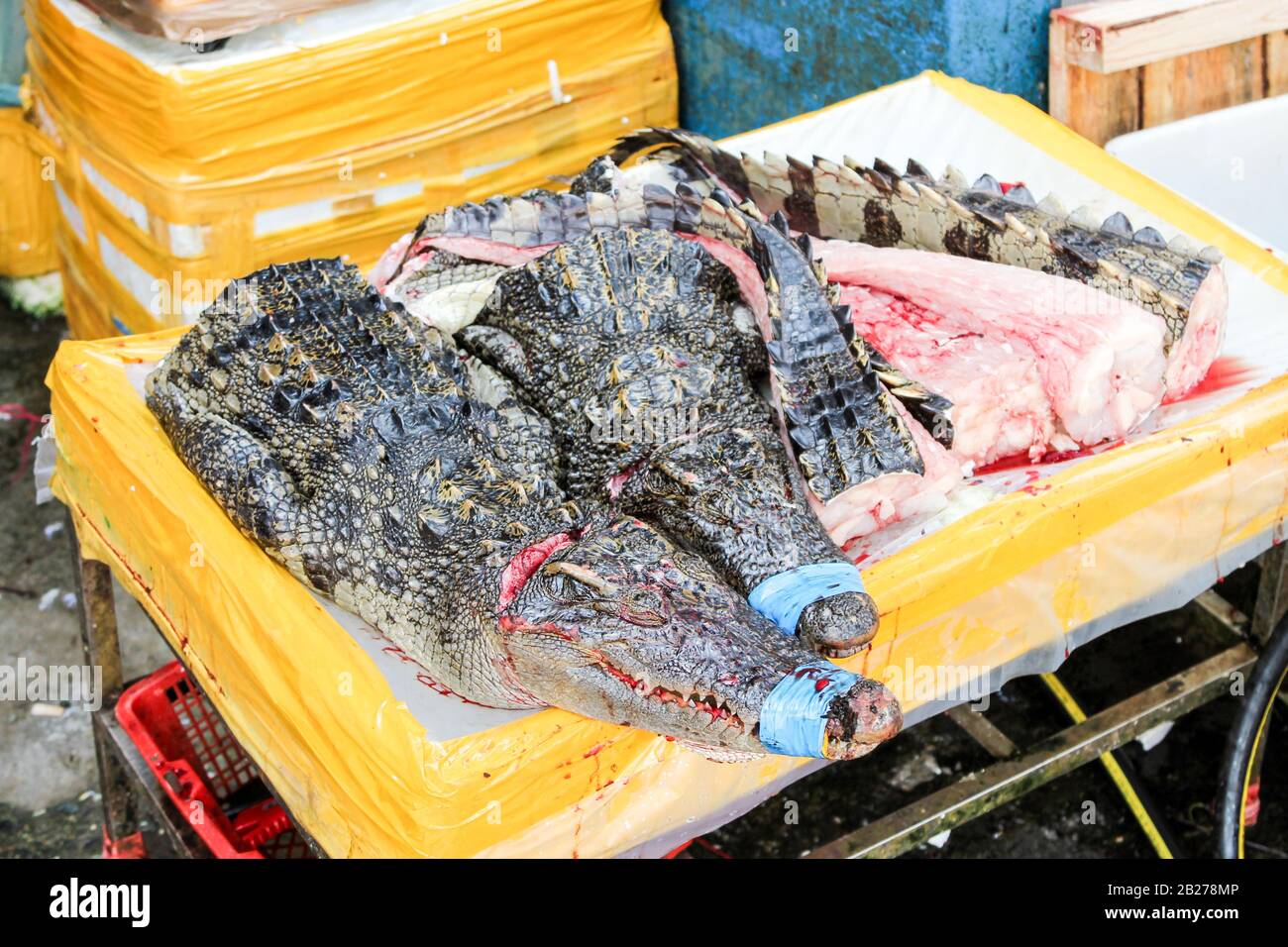 Chinesische typische Fisch- und lebende Tiere Markt Stockfoto