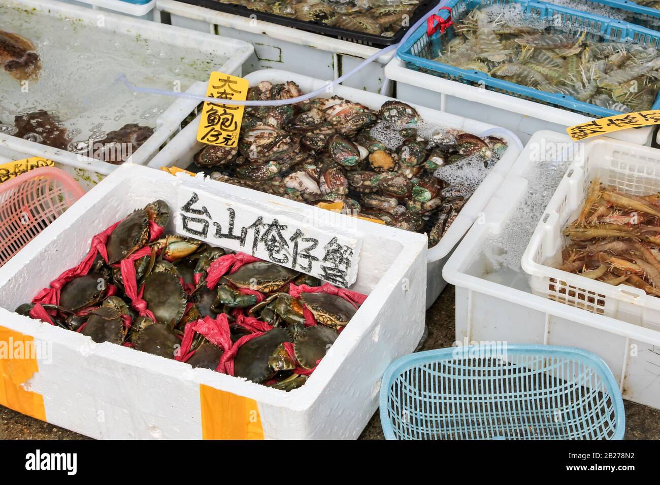 Chinesische typische Fisch- und lebende Tiere Markt Stockfoto