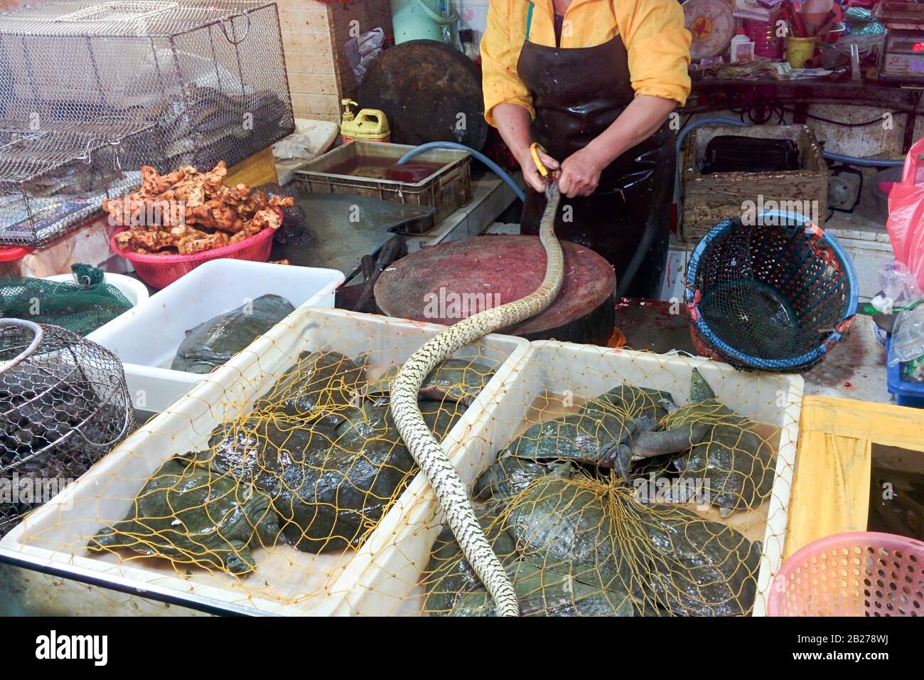 China Guangzhou Wild Animal Market Stockfotos und -bilder Kaufen - Alamy