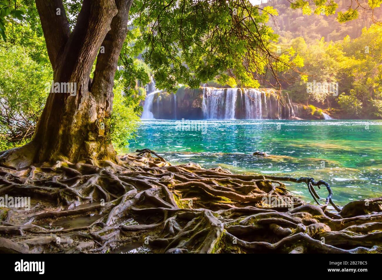 Schöne Krka Wasserfälle im Krka Nationalpark, Kroatien. Skradinski Buk ist der längste Wasserfall am Fluss Krka mit klarem türkisfarbenem Wasser und den Stockfoto