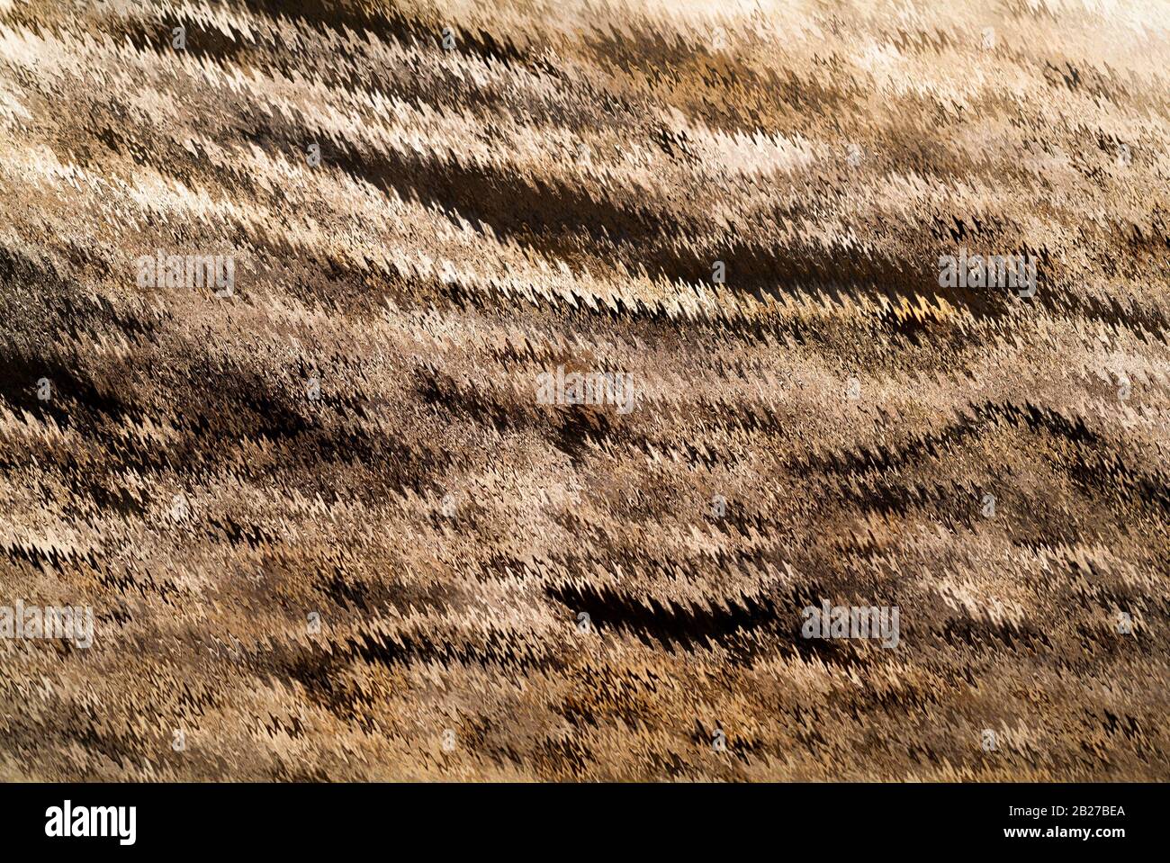 MARMOR-PARADOX: Ein Stück Holz entwickelt sich nach vielen digitalen Manipulationen und Verzerrungseffekten zu einer Reihe von Bildenden Künsten. Stockfoto