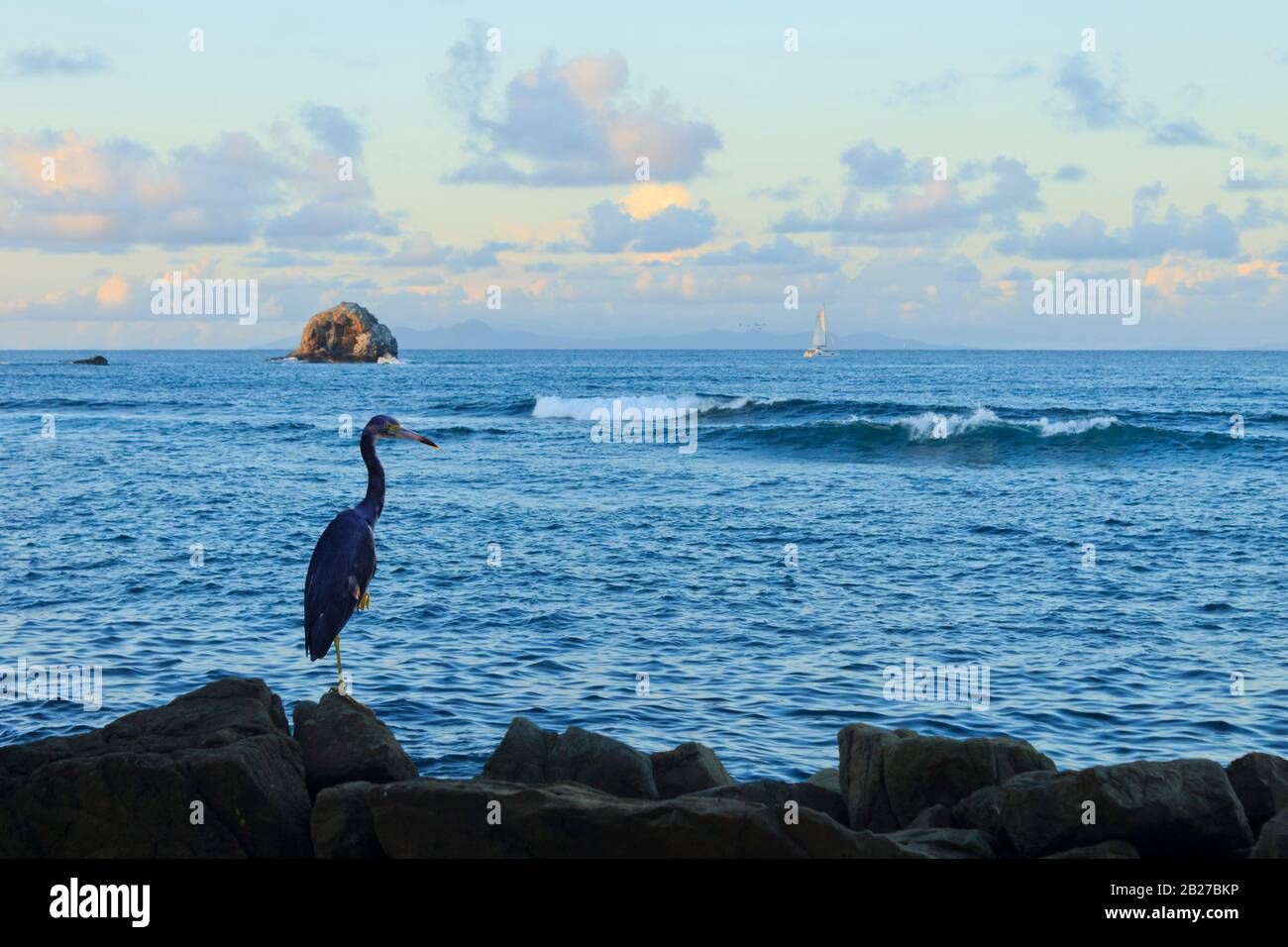 Atemberaubender Blick auf eine Felsinsel im schönen Ozean und einen Reiher, der auf einem Bein steht und dabei Wellen bricht, während eine Yacht in der Ferne wegsegelt Stockfoto