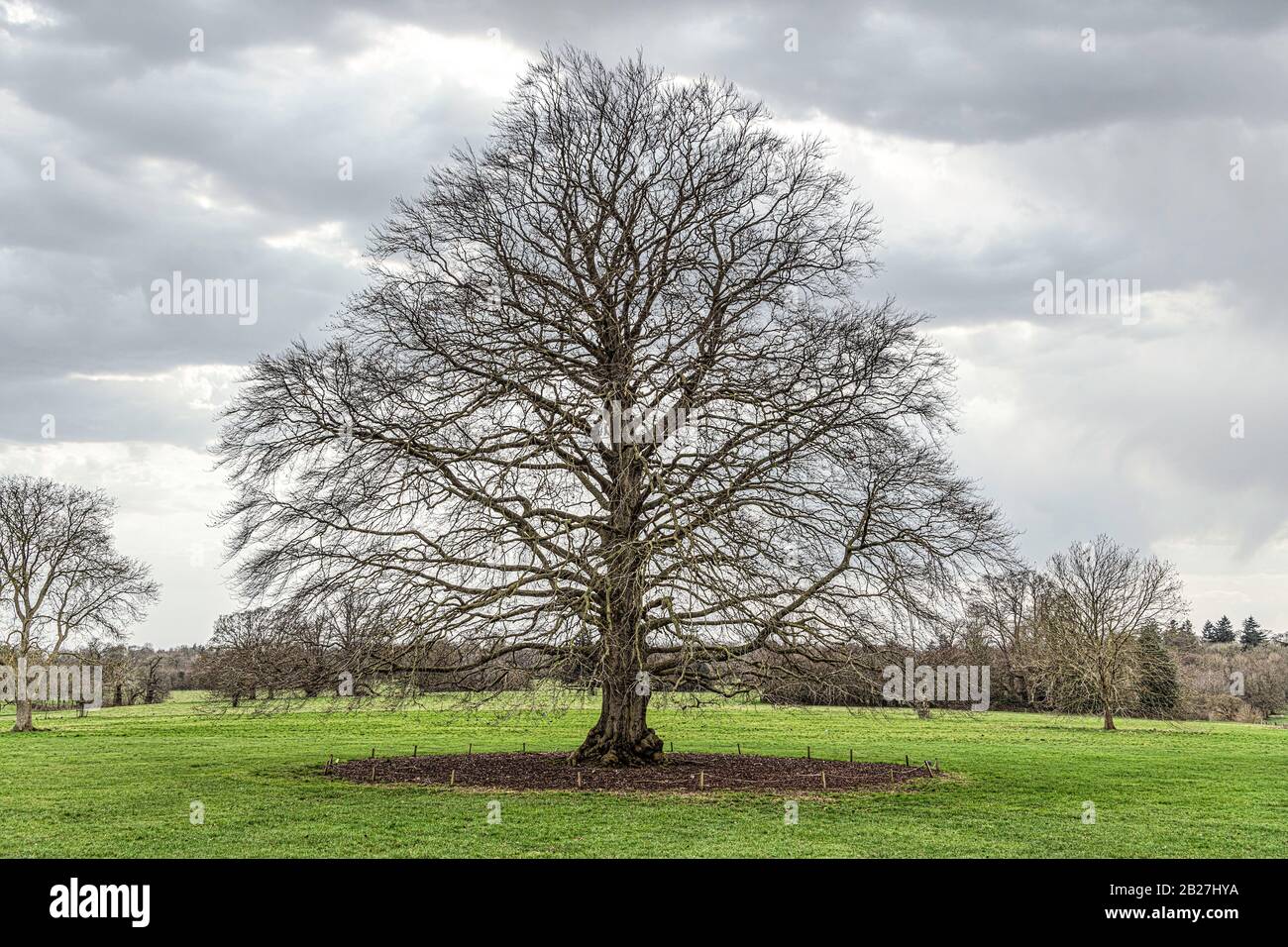 Basildon Park, Bukshire, Großbritannien. Stockfoto