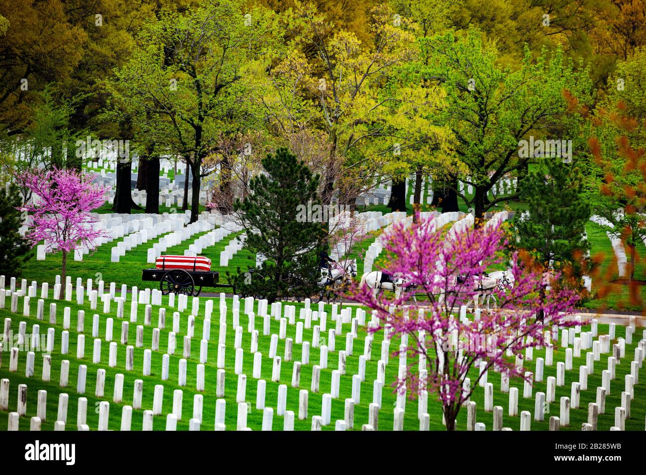 US-Militärfriedhof und Grabzug im Frühjahr in Arlington, USA Stockfoto