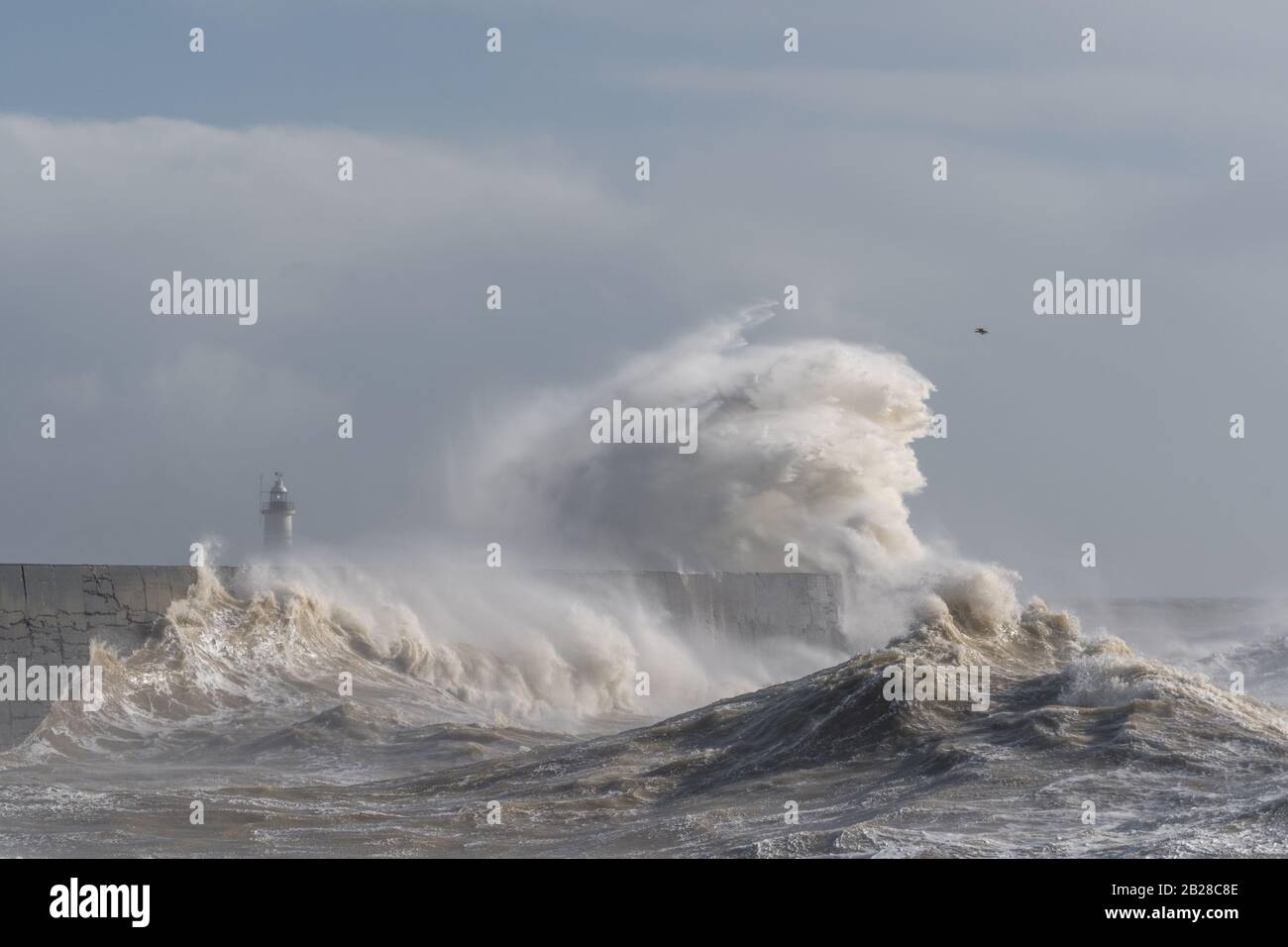 Newhaven, East Sussex am 29. Februar 2020. Storm Jorge streikt England und bringt starke Winde und starken Regen. Stockfoto