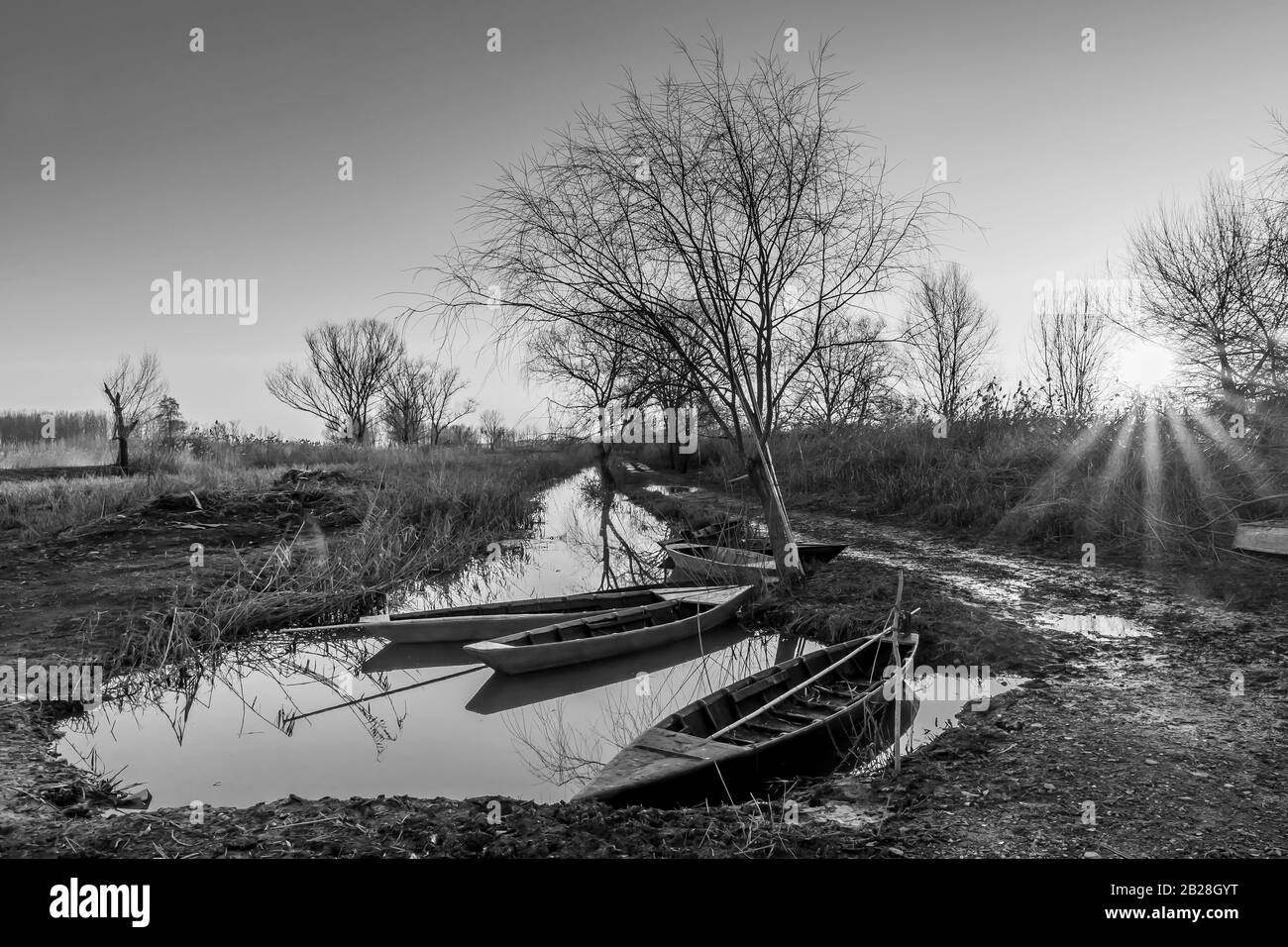 Schöner Schwarz-Weiß-Sonnenuntergang auf den typischen Holzbooten des Feuchtgebietes Padule di Fucecchio, Porto delle Morette, Toskana, Italien Stockfoto