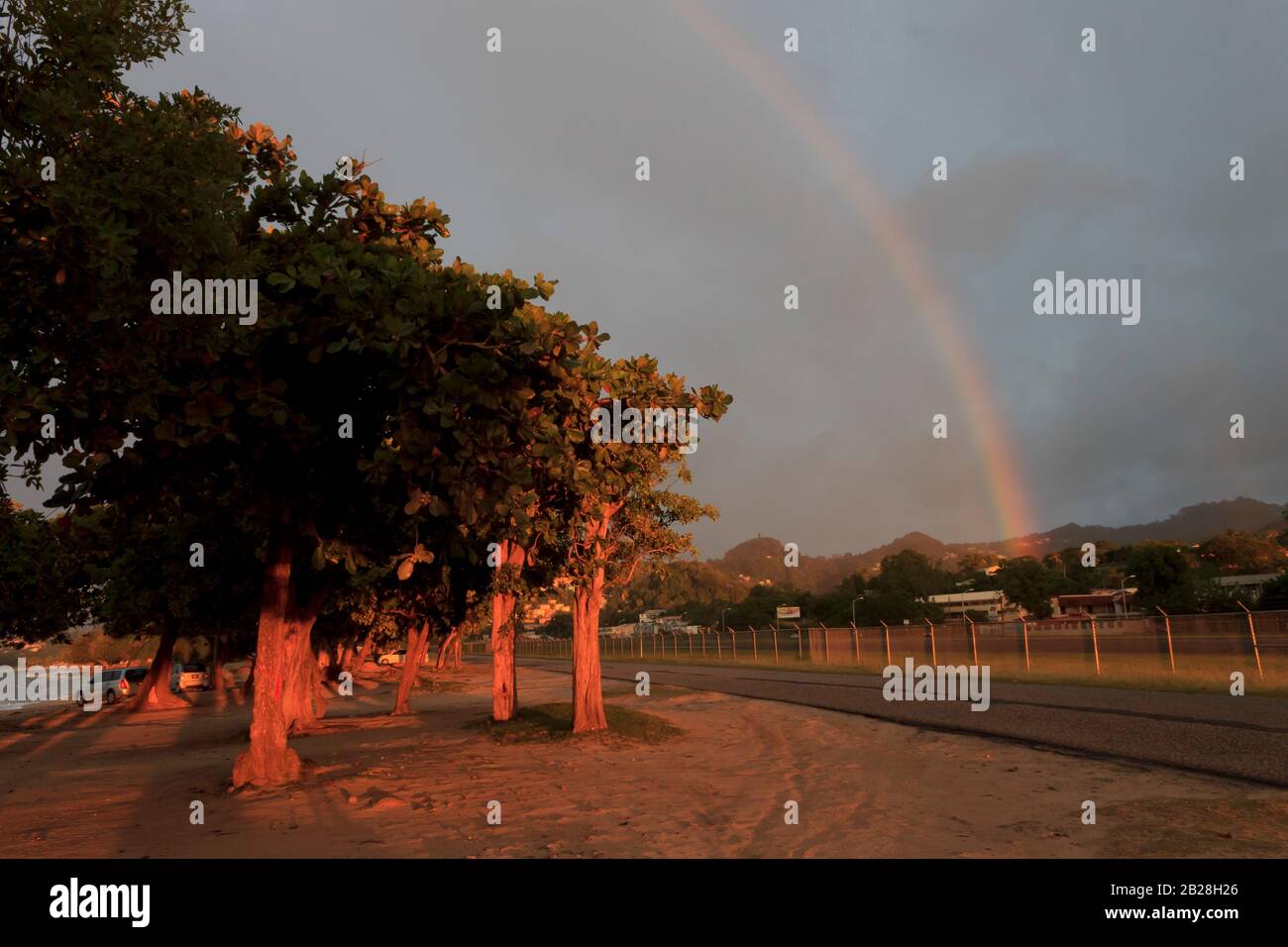 Hohe weiße und rote Zedernbäume mit dichtem grünen Laub säumen die unmarkierte Asphaltstraße nahe dem Kettengliedzaun am Flughafen mit einem Regenbogen dahinter Stockfoto