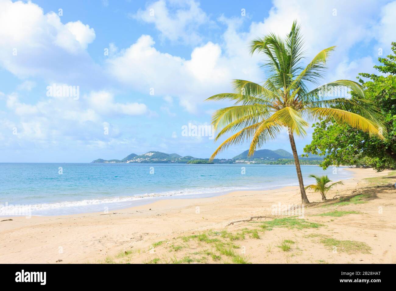 Vigie Strand an einem sonnigen Sommertag mit Trouya im Hintergrund krachende Wellen, weisses Wasser sonniger blauer Himmel und endloser Sand mit Kokosnussbaum Stockfoto