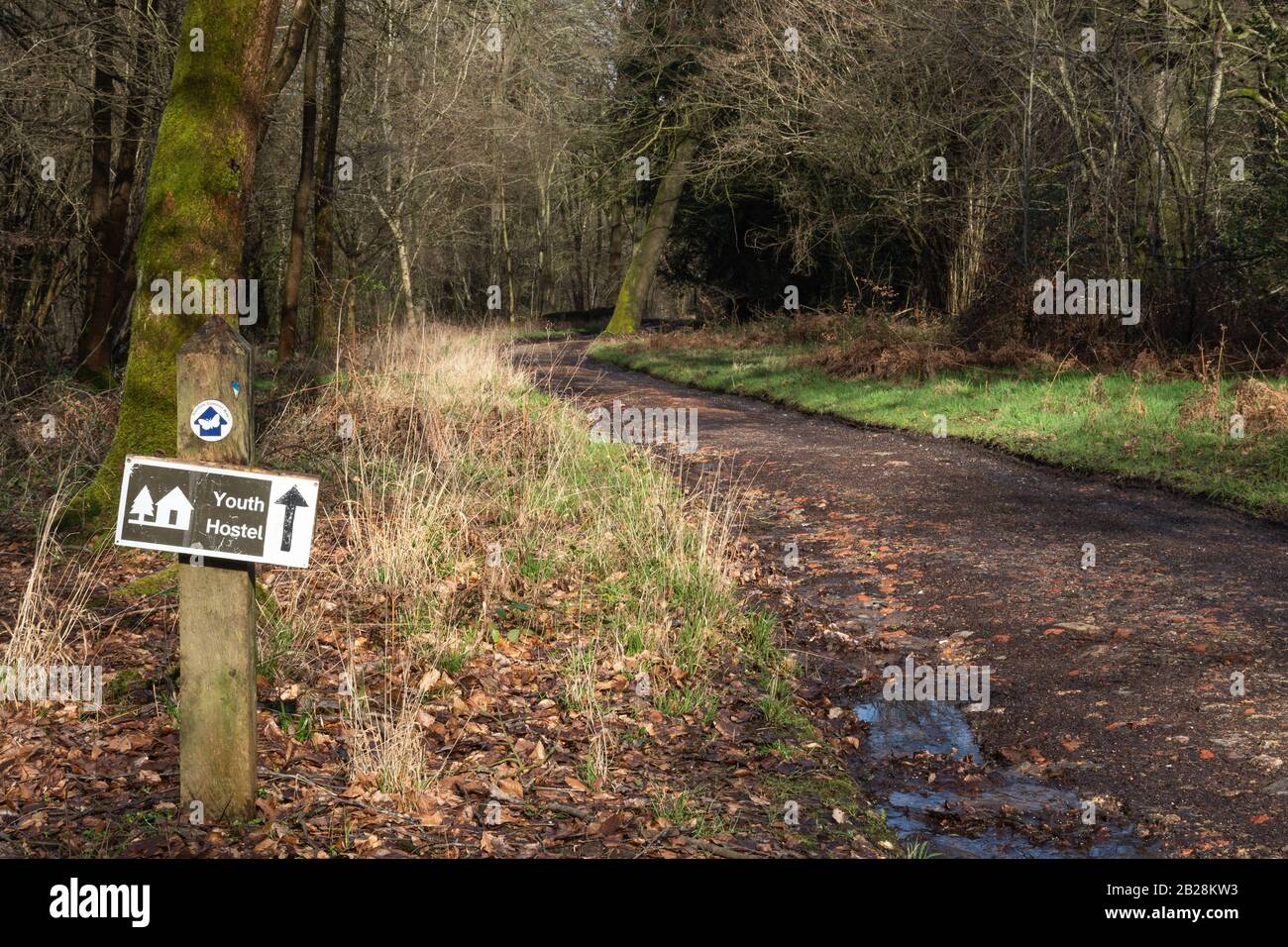 Melden Sie sich auf einem Waldpfad in den Surrey Hills, Großbritannien, in einer YHA Youth Hostel an Stockfoto