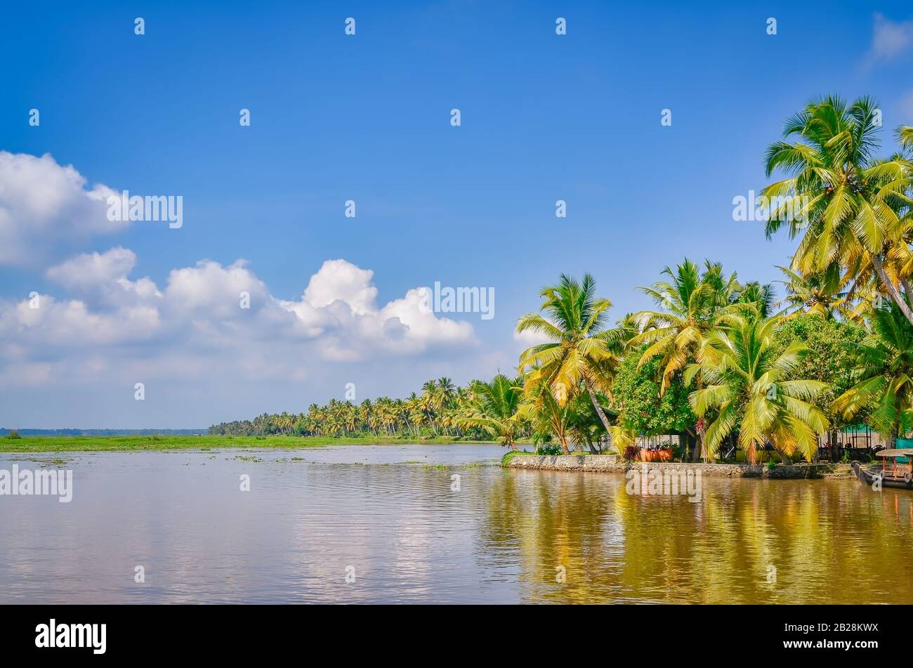 Landschaft mit Kokosnussbäumen, Backwaters und einem klaren blauen Himmel. Aus Kerala, Indien. Stockfoto