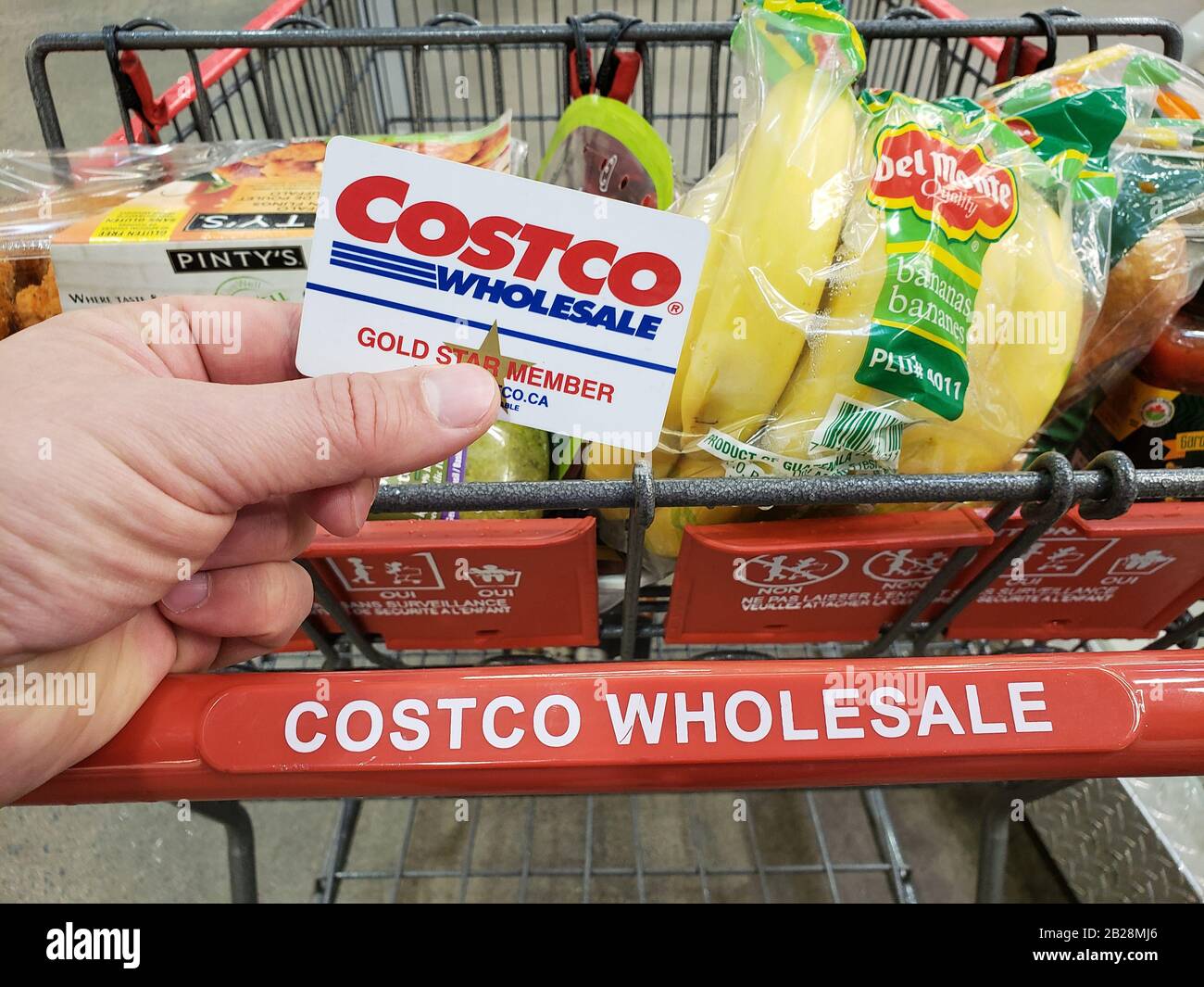 Montreal, KANADA - 6. APRIL 2019: Eine Hand, die eine Costco Membership Card auf einem Wagen im Costco Warehouse hält. Costco ist ein amerikanischer Konzern, der Oper Stockfoto