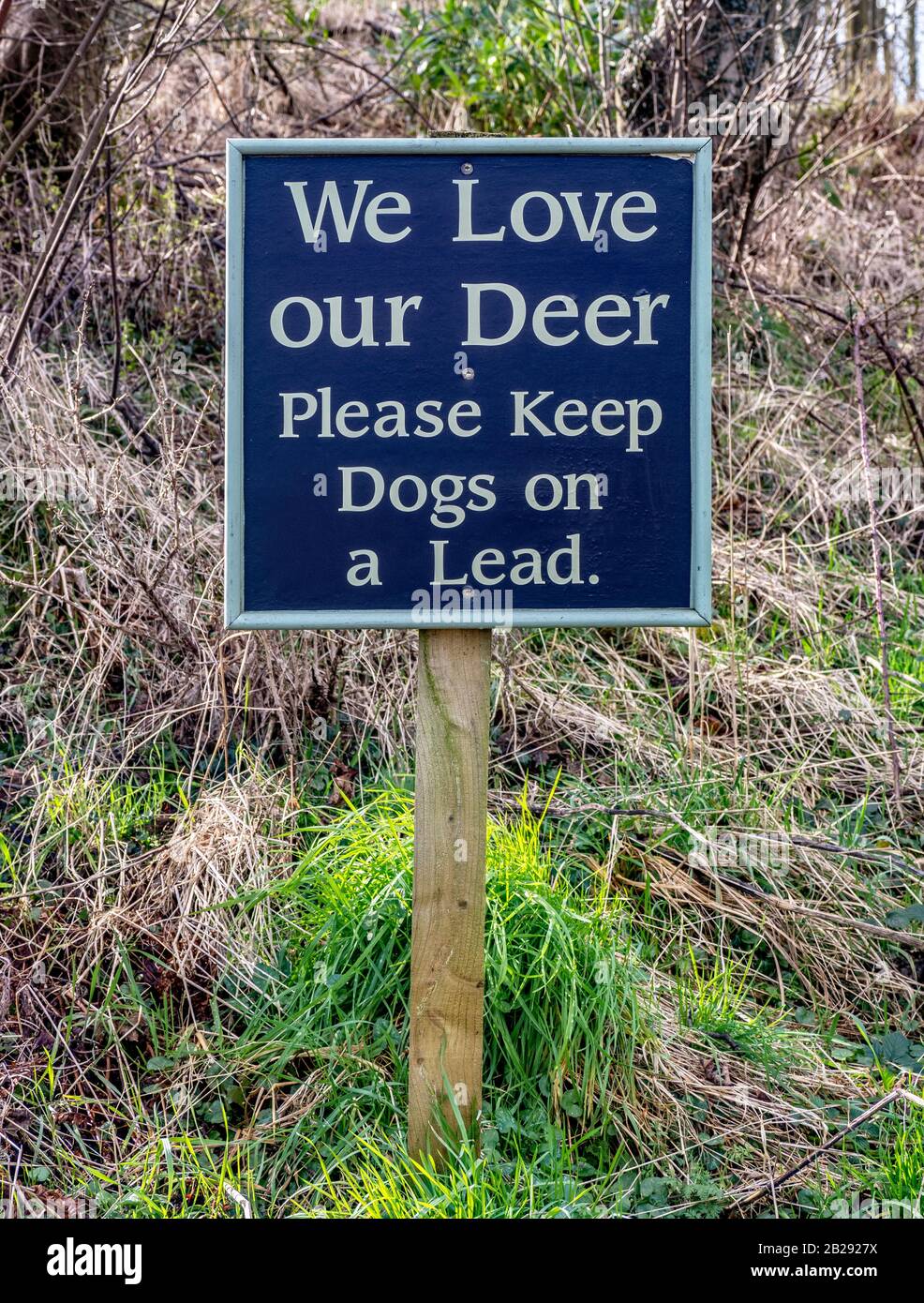 Wir lieben Unseren Deer - Bitte Halten Sie Hunde auf einem Vorzeichen. Stockfoto