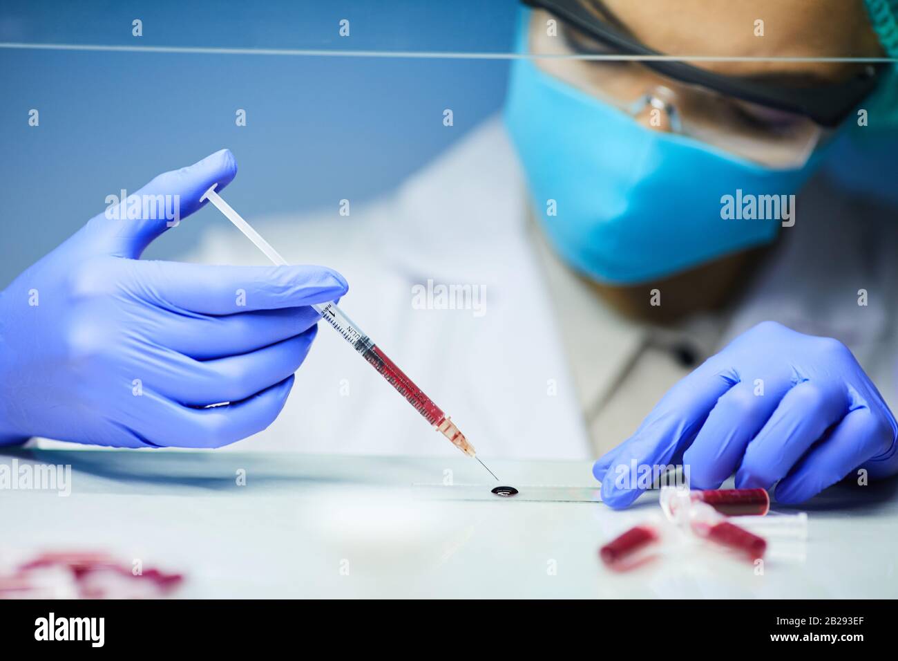 Portrait der Wissenschaftlerin, die die Blutprobe untersucht, während sie an der Bioforschung im Labor arbeitet, Kopierraum Stockfoto