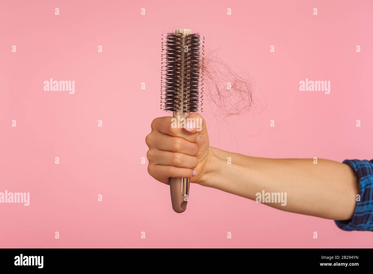 Nahaufnahme der weiblichen Handhaltebürste mit ungesunden beschädigten Brunette-Haaren vor rosa Hintergrund, Haarausfall, Schuppe und Alopezie Krankheit. I Stockfoto