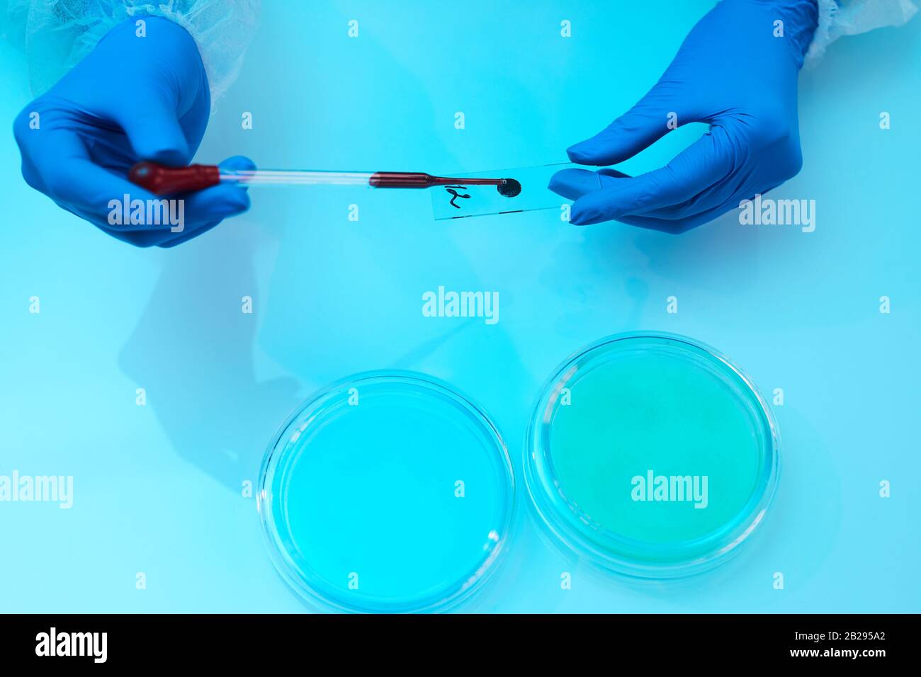 Oben sehen Sie den Hintergrund des Wissenschaftlers, der die Blutprobe im medizinischen Labor untersucht, den Kopierraum Stockfoto