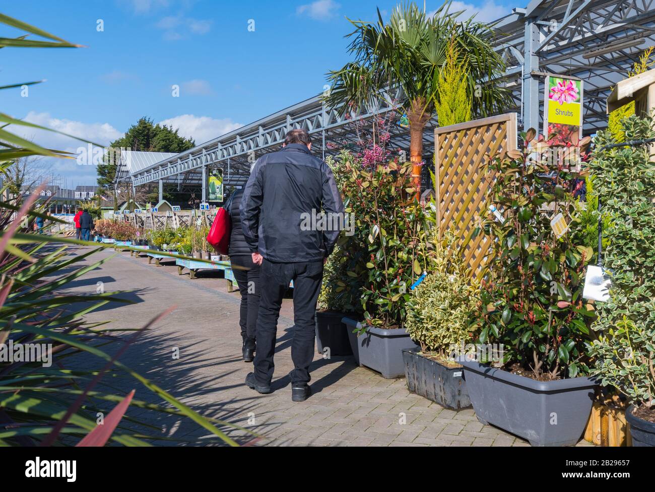 Menschen, die in einem britischen Gartencenter in England, Großbritannien, herumlaufen, Pflanzen zum Verkauf suchen und sich diese angugen. Stockfoto