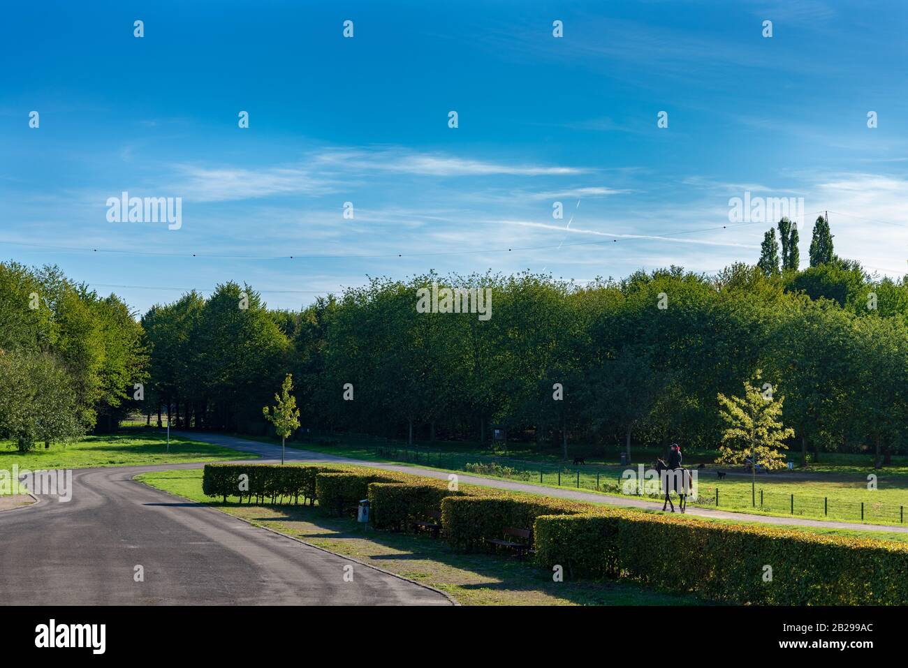 Landschaft mit ruhigem Park und Menschen oder Jockey reiten auf einem Pferd im Park am Europator Park in Gelsenkirchen Stockfoto