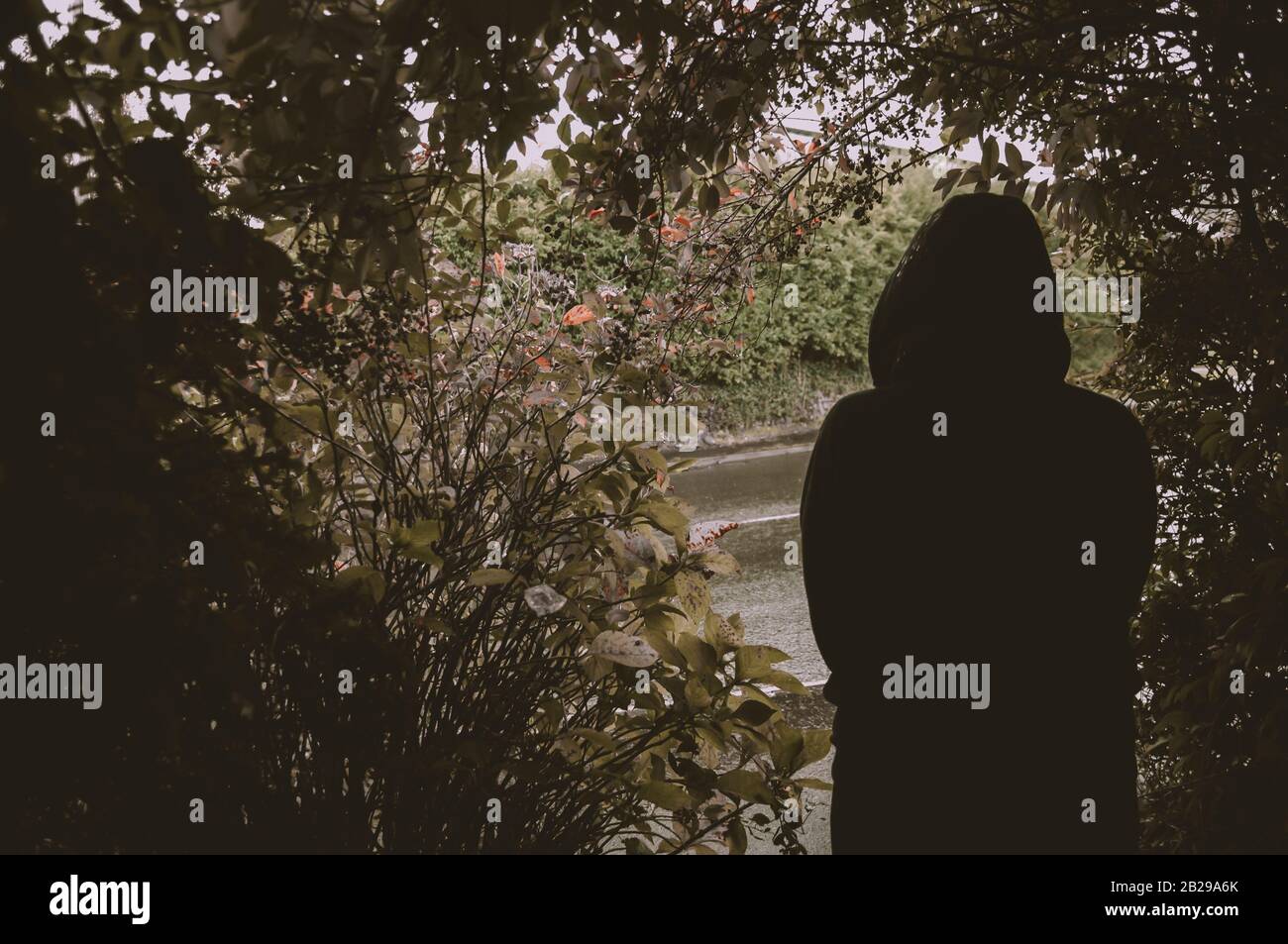 Entsäumtes Atmosphärenbild einer Silhouette eines Alleinstehenden, der einen Hoodie trägt, in einer Öffnung in Bäumen stehend. Stockfoto