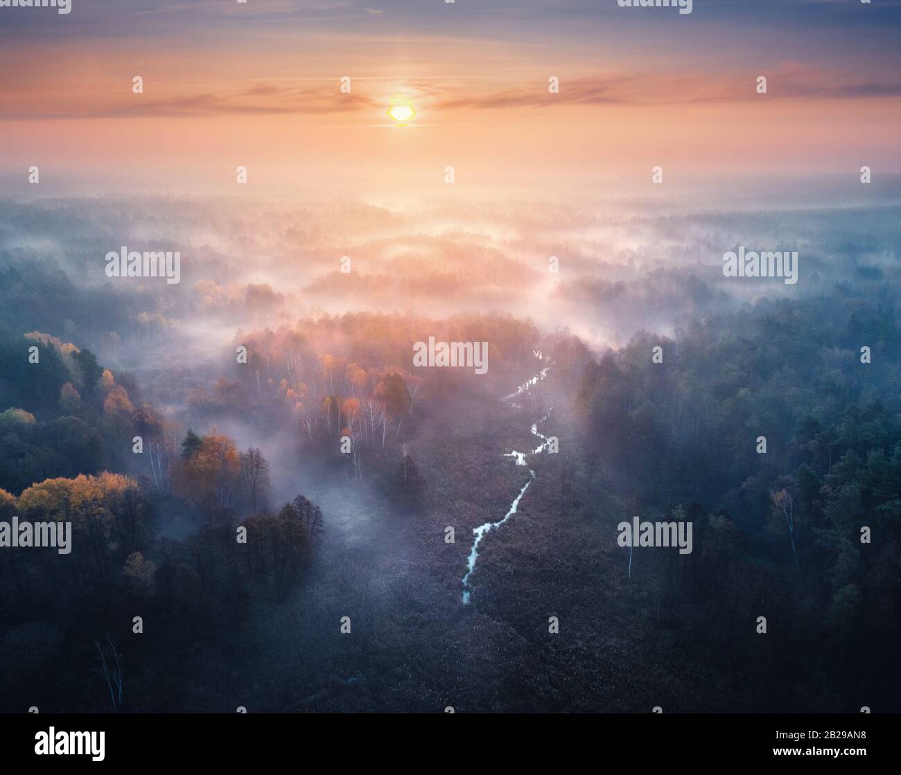 Luftbild von Nebelwald und Wiesen bei Sonnenaufgang im Herbst Stockfoto