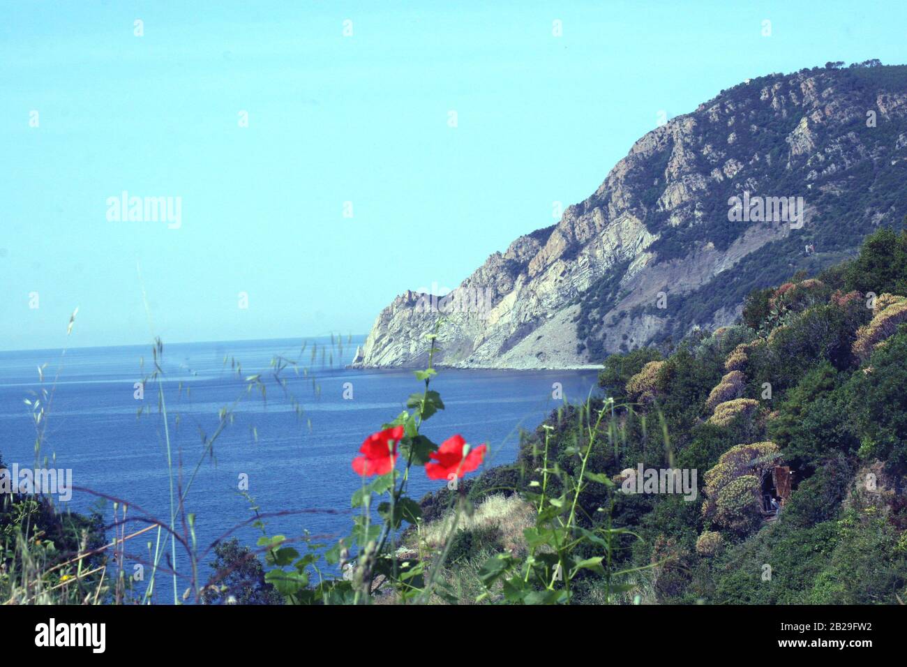 HE Cinque Terre ist ein Küstengebiet innerhalb Liguriens im Nordwesten Italiens. Es liegt im Westen von La Spezia und umfasst fünf Dörfer: Monterosso Stockfoto