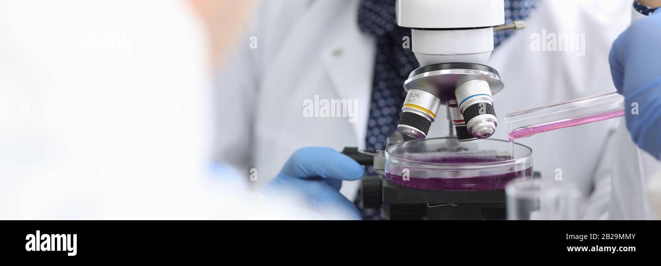 Konzentriert Biochemiker im Labor Stockfoto