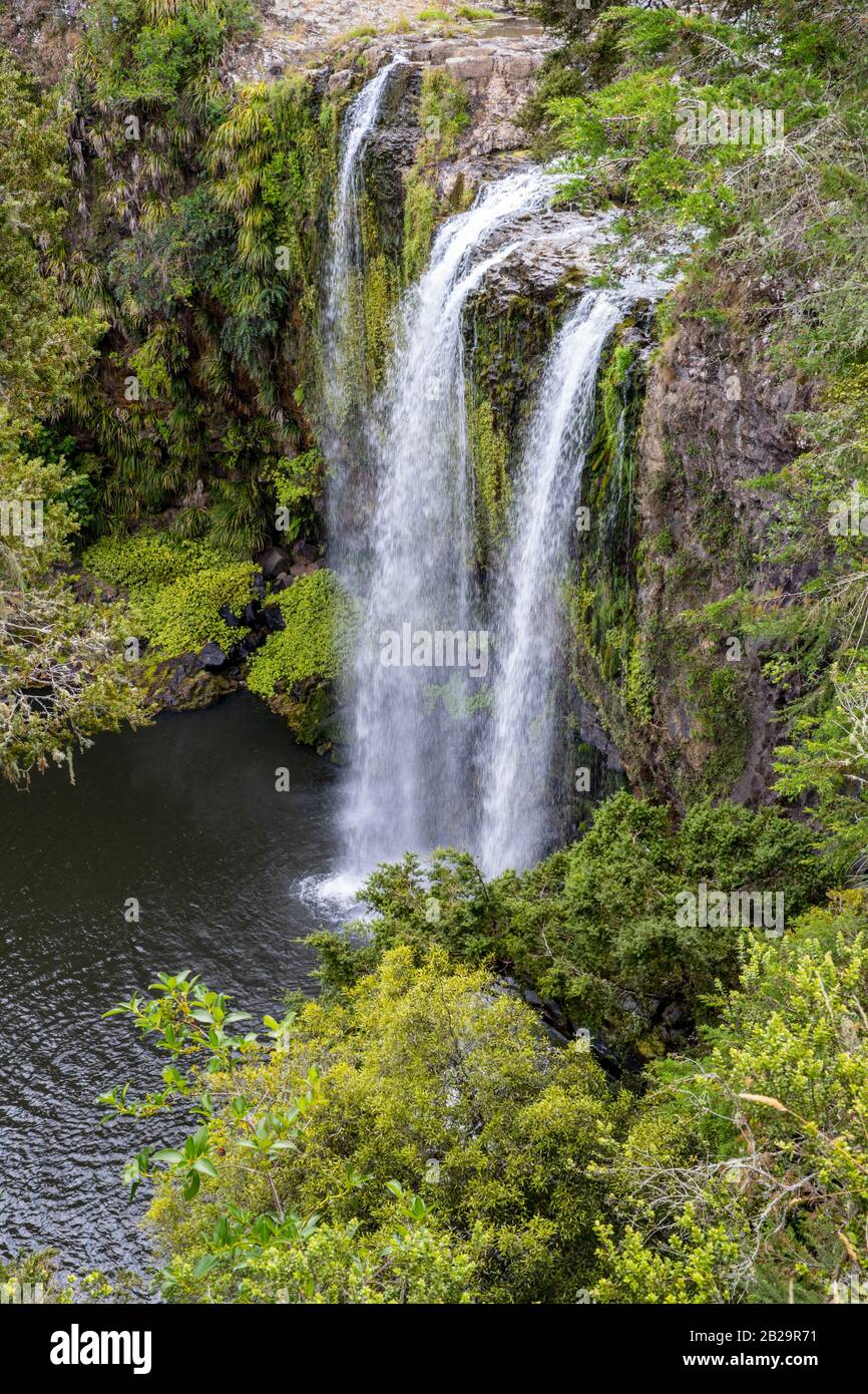 Whangarei Falls Scenic Reserve, Whangarei, Neuseeland, Freitag, 20. Dezember 2019. Stockfoto