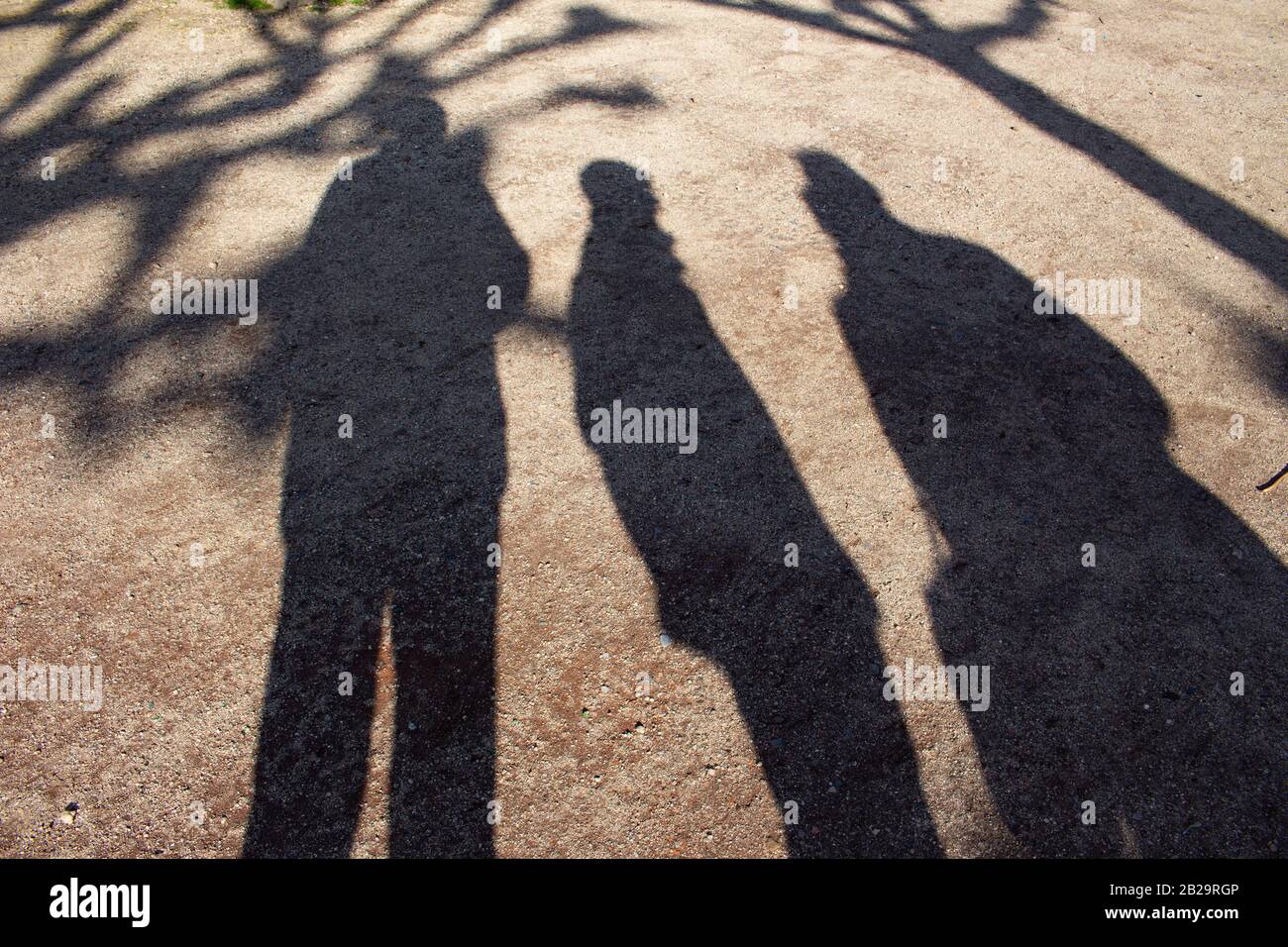 Schatten von Menschen und Bäumen im Kies Stockfoto