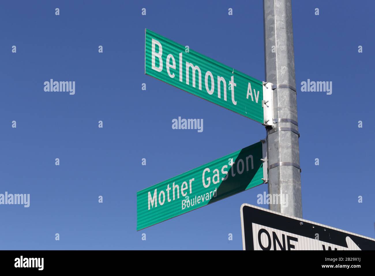 Die Straßenschilder Belmont Ave und Mother Gaston Blvd befinden sich im Stadtteil Brownsville in Brooklyn, New York, NY Stockfoto
