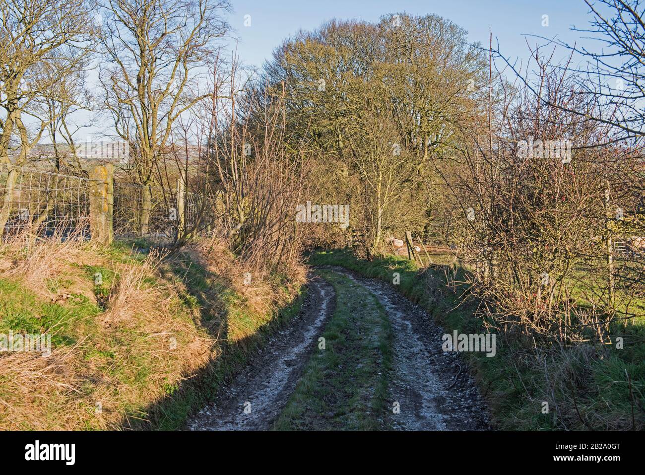 Abgelegene Landstraße auf einem Hügel in ländlicher Landschaft Stockfoto