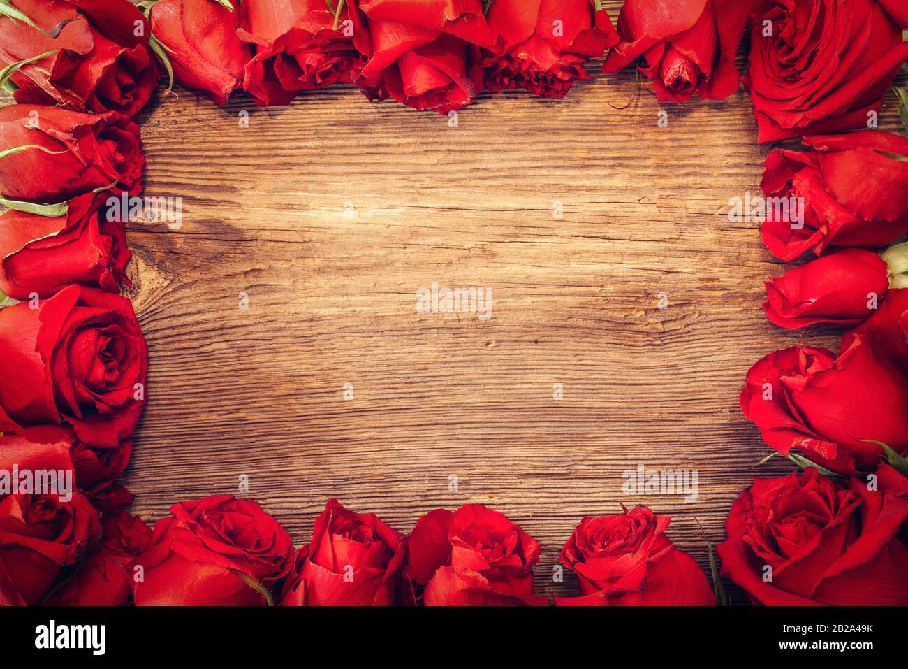 Rahmen mit scharlachroten Rosen für Valentinstag Verzierungen Konzept mit Holzhintergrund. Liebe und Romantik Stockfoto
