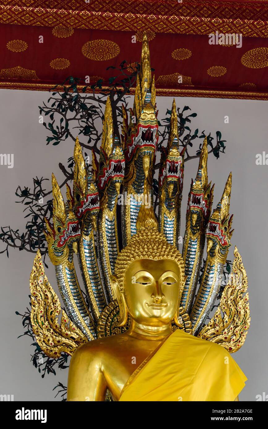 Statue des goldenen Buddha mit einer Safrangarbe, mit einer vielköpfigen Schlange, Wat Pho, Bangkok, Thailand Stockfoto