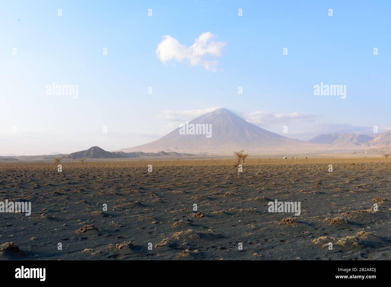 Semidesert vor dem Vulkan Ol Doinyo Lengai nahe dem Natronsee, Ostafrika, August 2017, Nordtansania Stockfoto