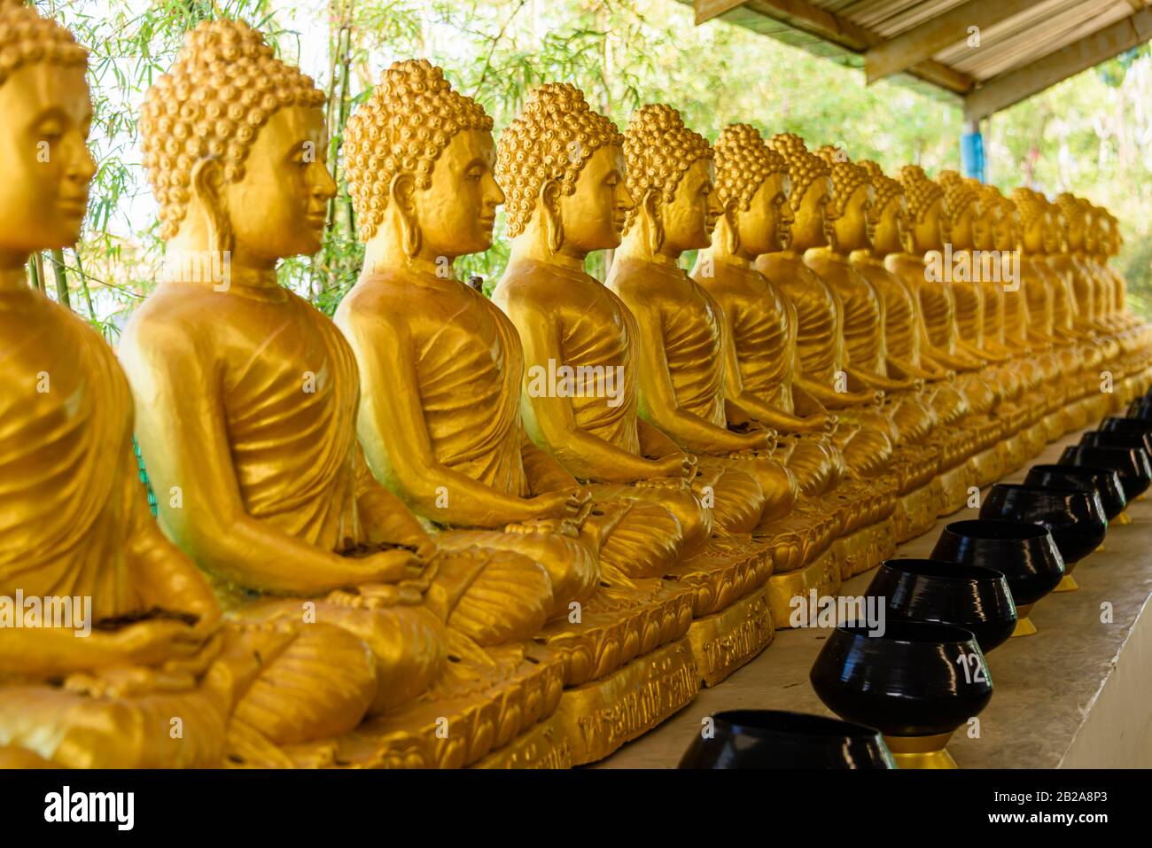 Reihe goldener Buddha-Buddha-Statuen, am großen Buddha, Thailand Stockfoto