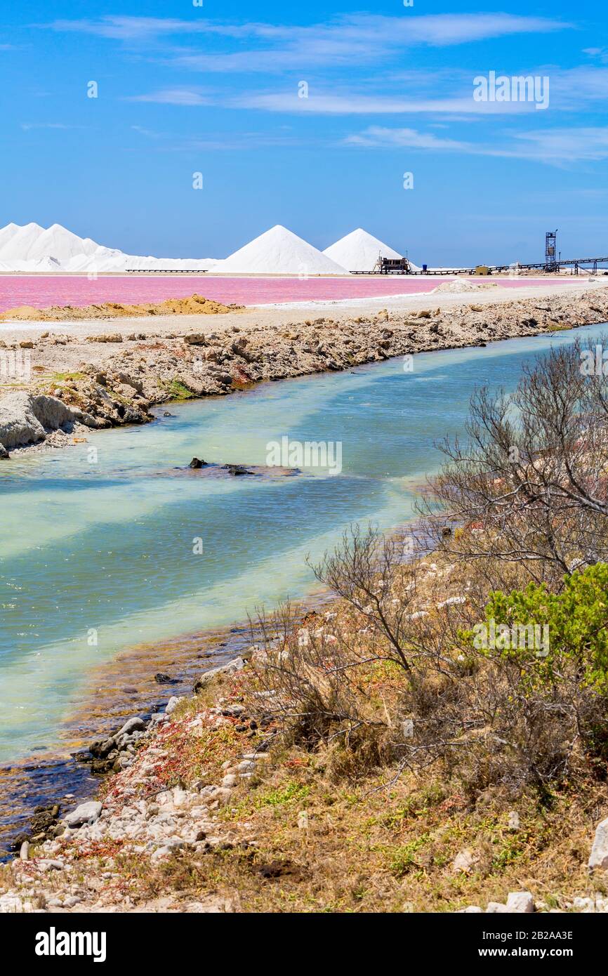 Landschaft mit rosafarbenem und blauem Wasser in der Salzindustrie auf der Insel Bonaire Stockfoto