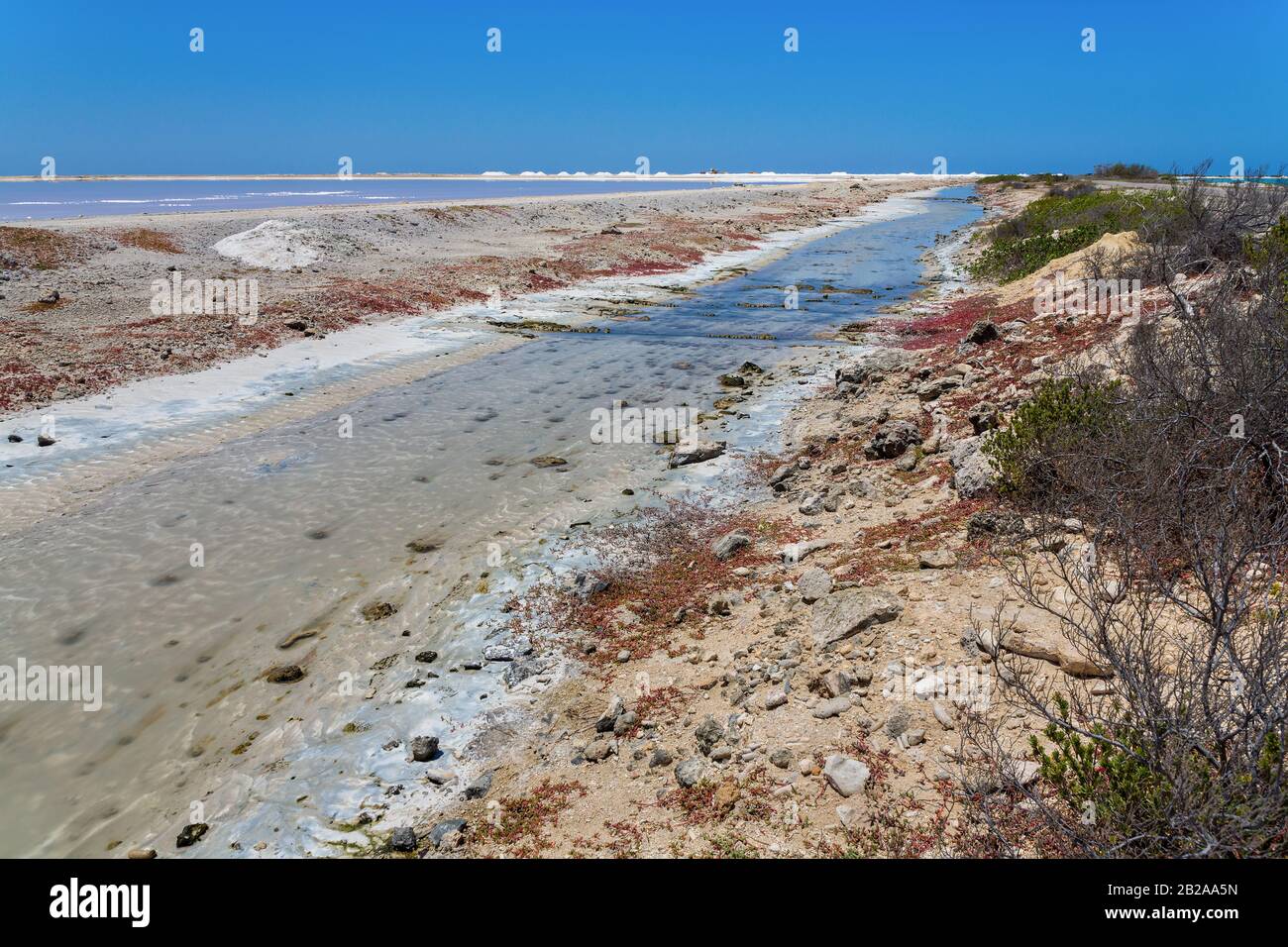 Bach in der Nähe von Salzsee für die Salzindustrie auf der Insel Bonaire Stockfoto