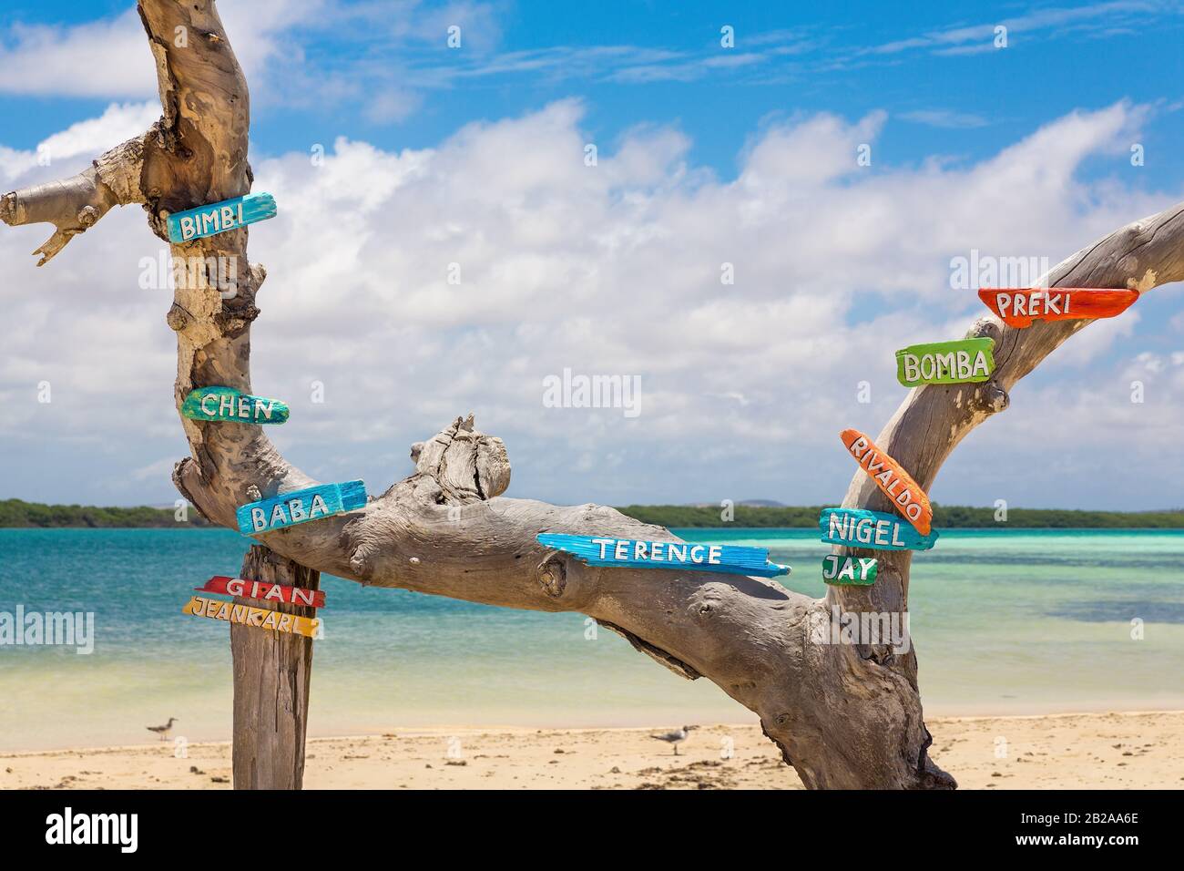 Baumstamm an der Küste von Bonaire mit Vornamen auf bunten Schildern Stockfoto