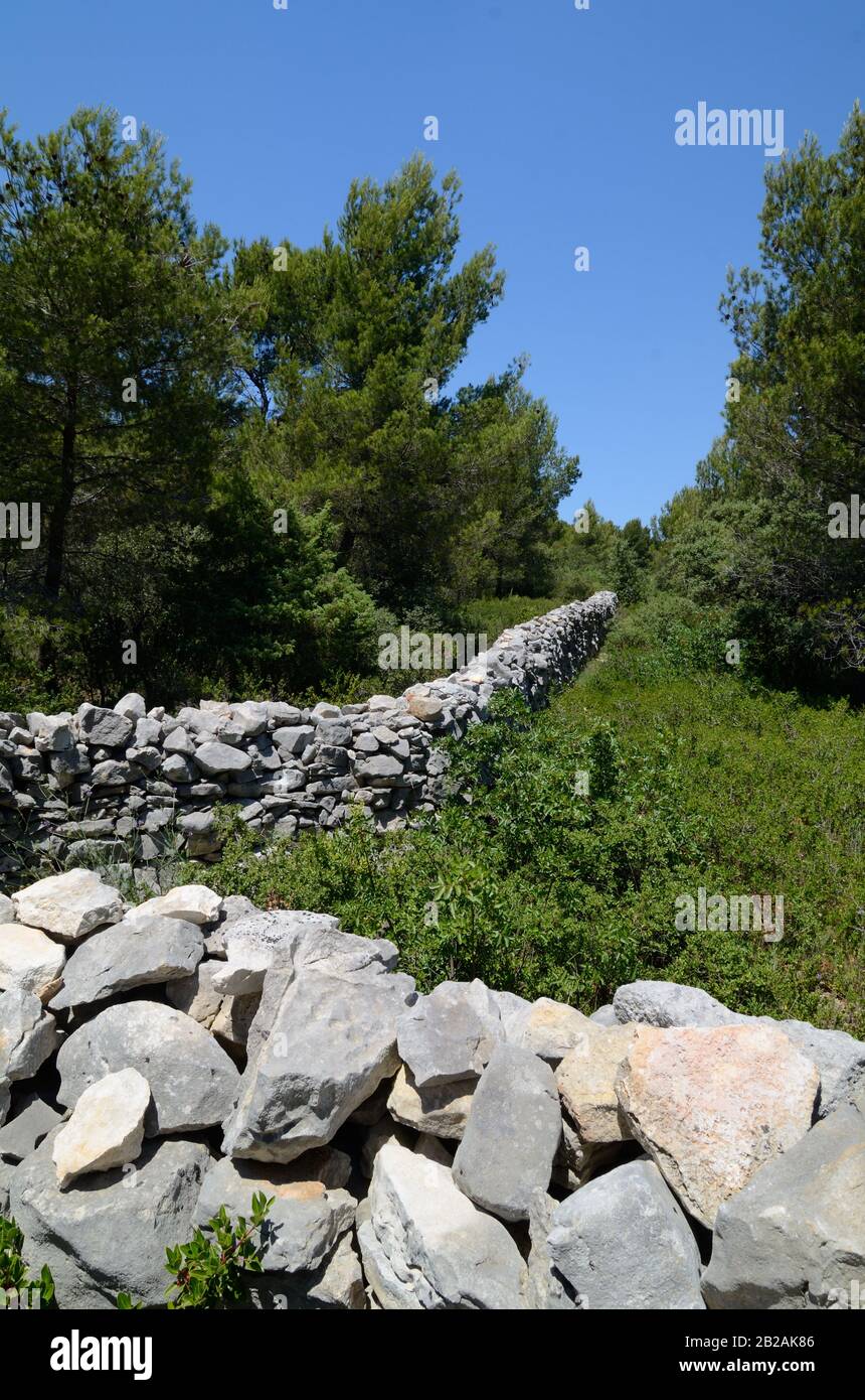 Überreste oder Wiederaufbau der Provençal-Plage Mauer erbaut Akroos der Landschaft, Hochebene von Vaucluse, Provence Frankreich Stockfoto