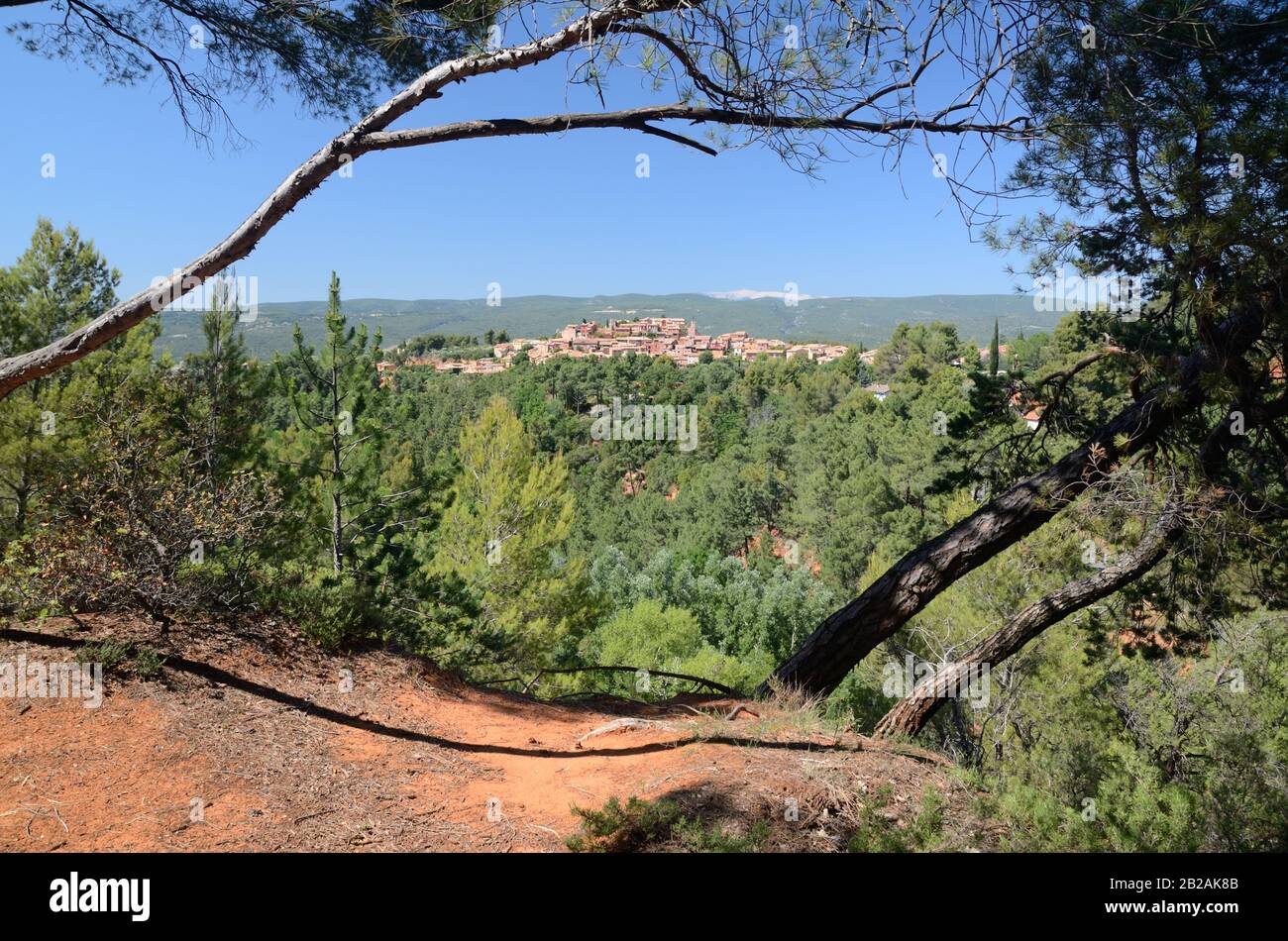 Landschaft mit Ockerfarbenen Auswüchsen und Pine Trees, Die Das Dorf Rousillon im Luberon Regional Park Vaucluse Provence France Umrahmen Stockfoto