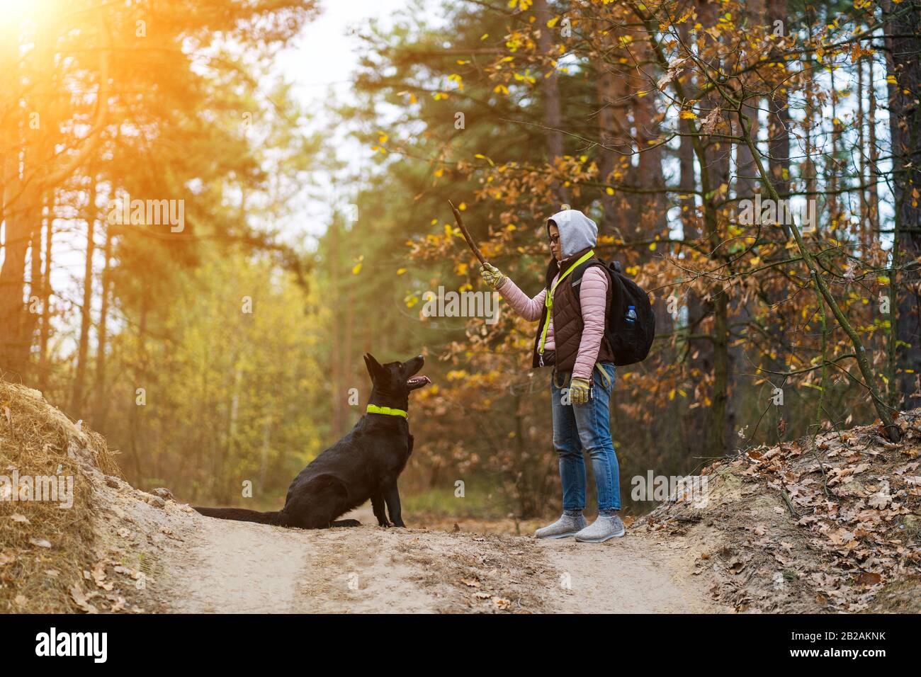 Woman Und Black Dog Laufen An Der Forest Road Stockfoto