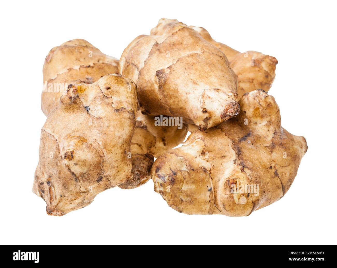 Mehrere rohe Knollen aus jerusalemer Artischocke (Sonnenwurzel) isoliert auf weißem Grund Stockfoto