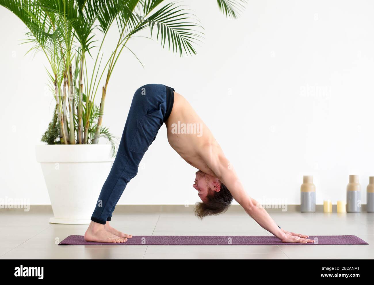 Geschmeidige Passform der Mann, der einen nach unten gerichteten Hundeyoga-Pose auf einer Matte in einer hochwichtigen Sporthalle in einem niedrigen Winkel in der Seitenansicht für ein Gesundheits- und Fitnesskonzept macht Stockfoto