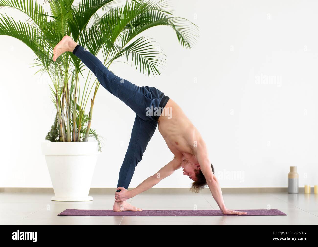 Fit für einen gesunden jungen Mann, der ein Yoga macht oder auf einer Matte in einem hellen Iry Raum mit vergossener Palme trainieren kann, und in einem aktiven Lifestyle und einer aktiven FI Platz kopieren kann Stockfoto