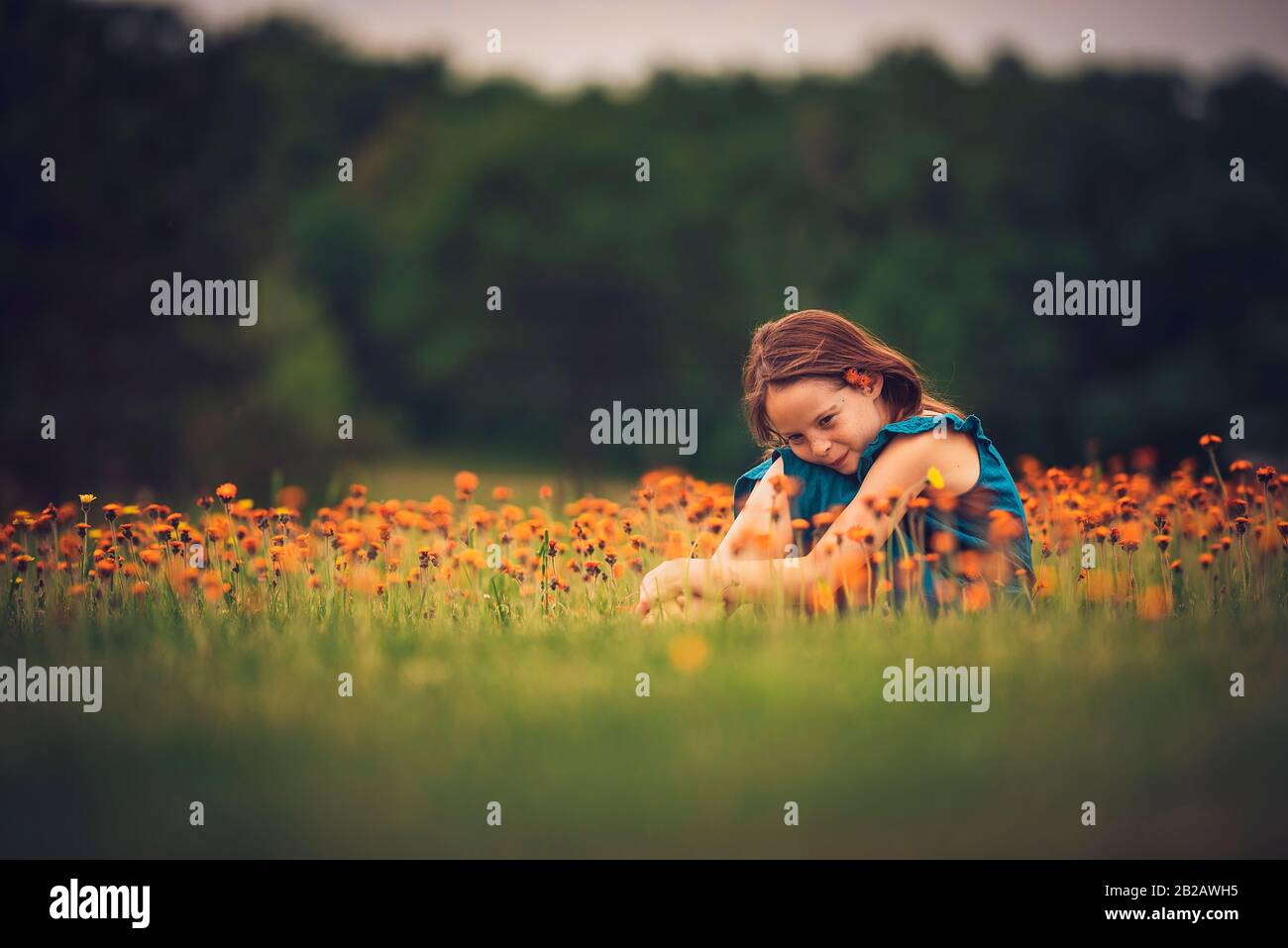 Glückliches Mädchen auf einer Wiese mit Wildblumen, USA Stockfoto