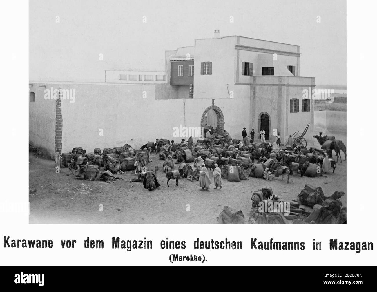 Kamelkarawane eines deutschen Kaufmanns im Magazin, heute El Jadida, in Marokko. Stockfoto