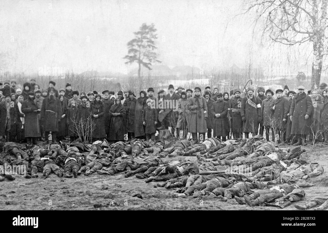 Die Leichen der Einwohner von Wesenberg (Rakvere), die während des Estnischen Unabhängigkeitskrieges von der Exekutionsgruppe der Roten Armee getötet wurden. Stockfoto
