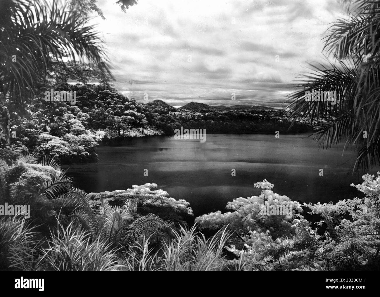 Blick auf das Elefantenmeer (Elephantensee) in der deutschen Kolonie Kamerun. Undatiertes Bild. Stockfoto