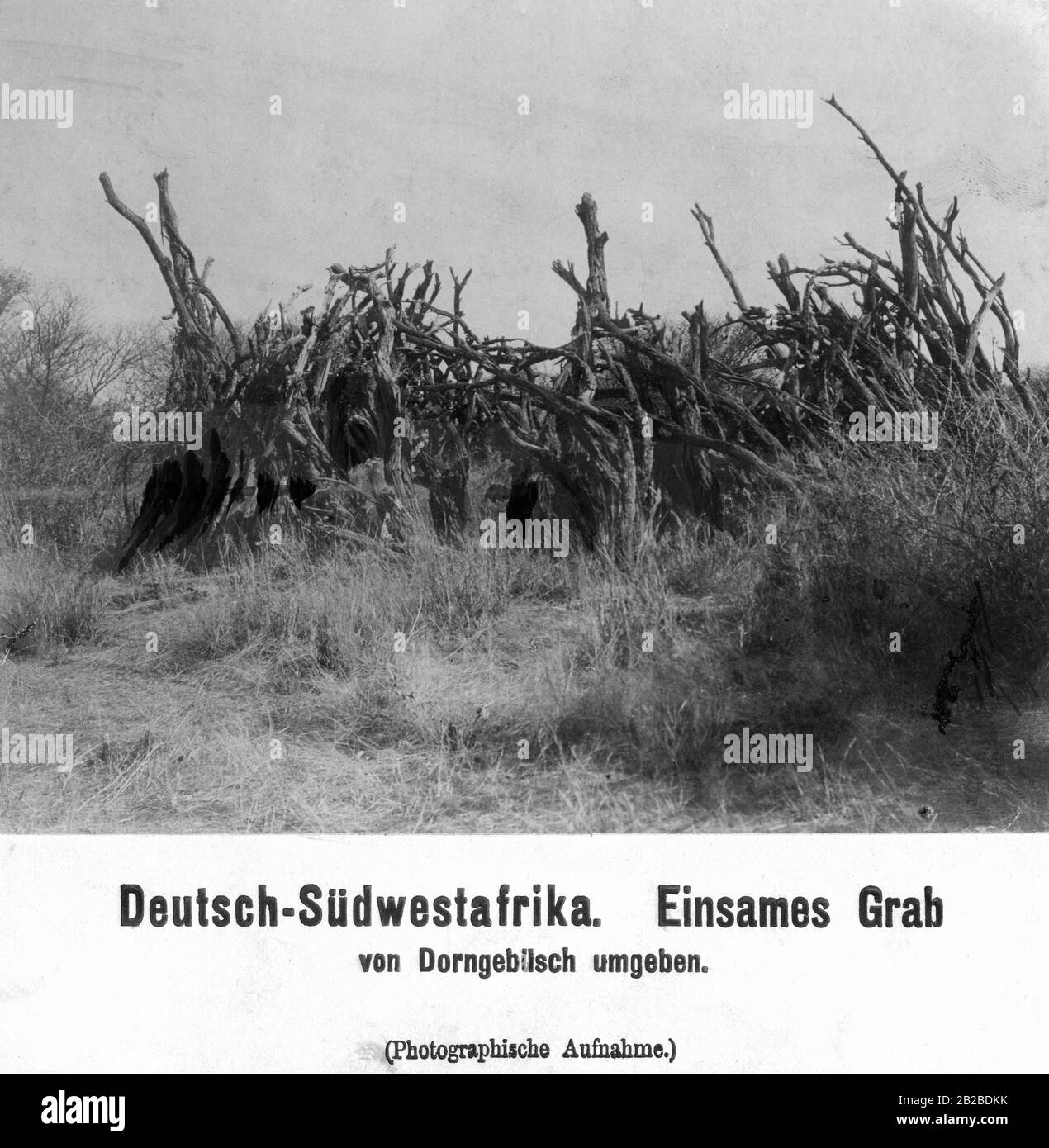 Ein Grab, das im deutschen Südwestafrika von Dornbüschen umgeben ist. Stockfoto