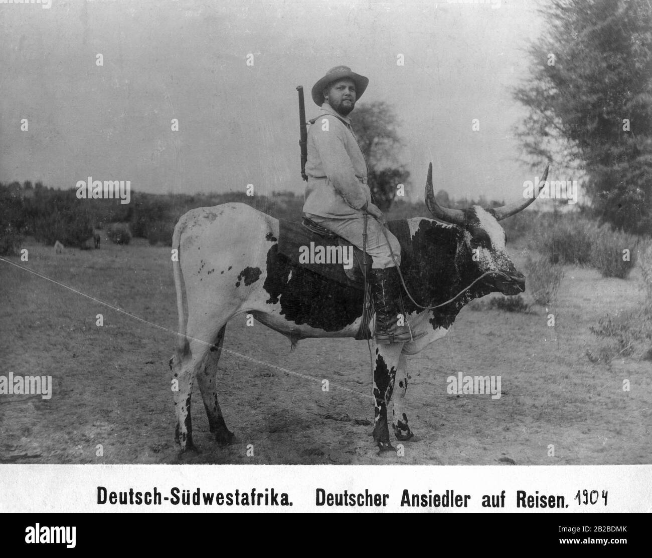 Ein deutscher Einsiedler auf einem Ochsen, der im deutschen