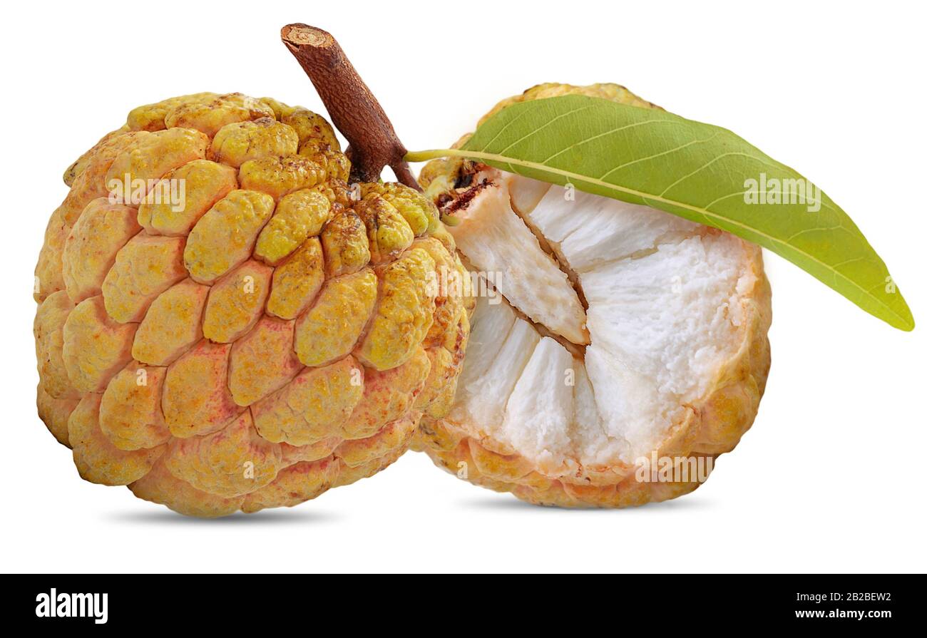 Annona oder Custard Apple auf weißem Hintergrund Stockfoto